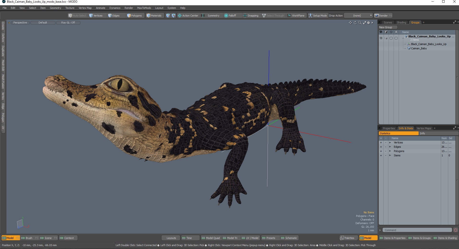 3D Black Caiman Baby Looks Up