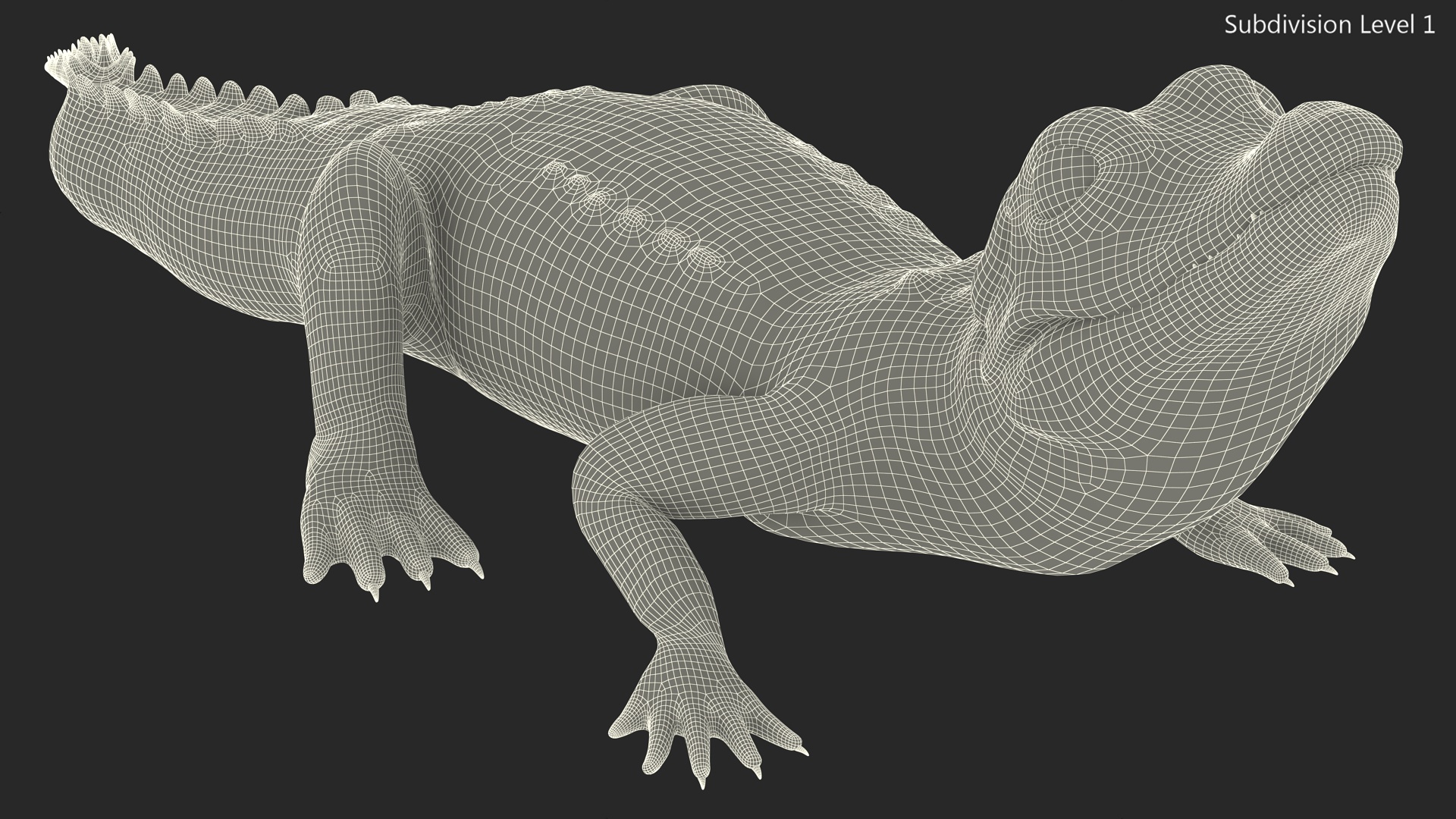3D Black Caiman Baby Looks Up