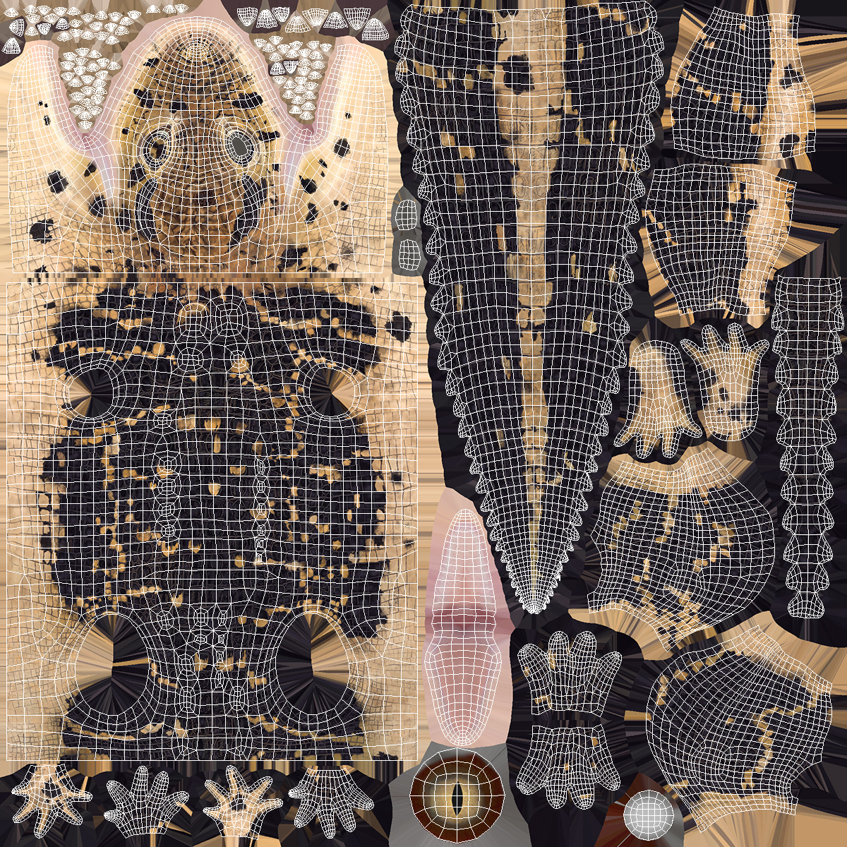 3D Black Caiman Baby Looks Up