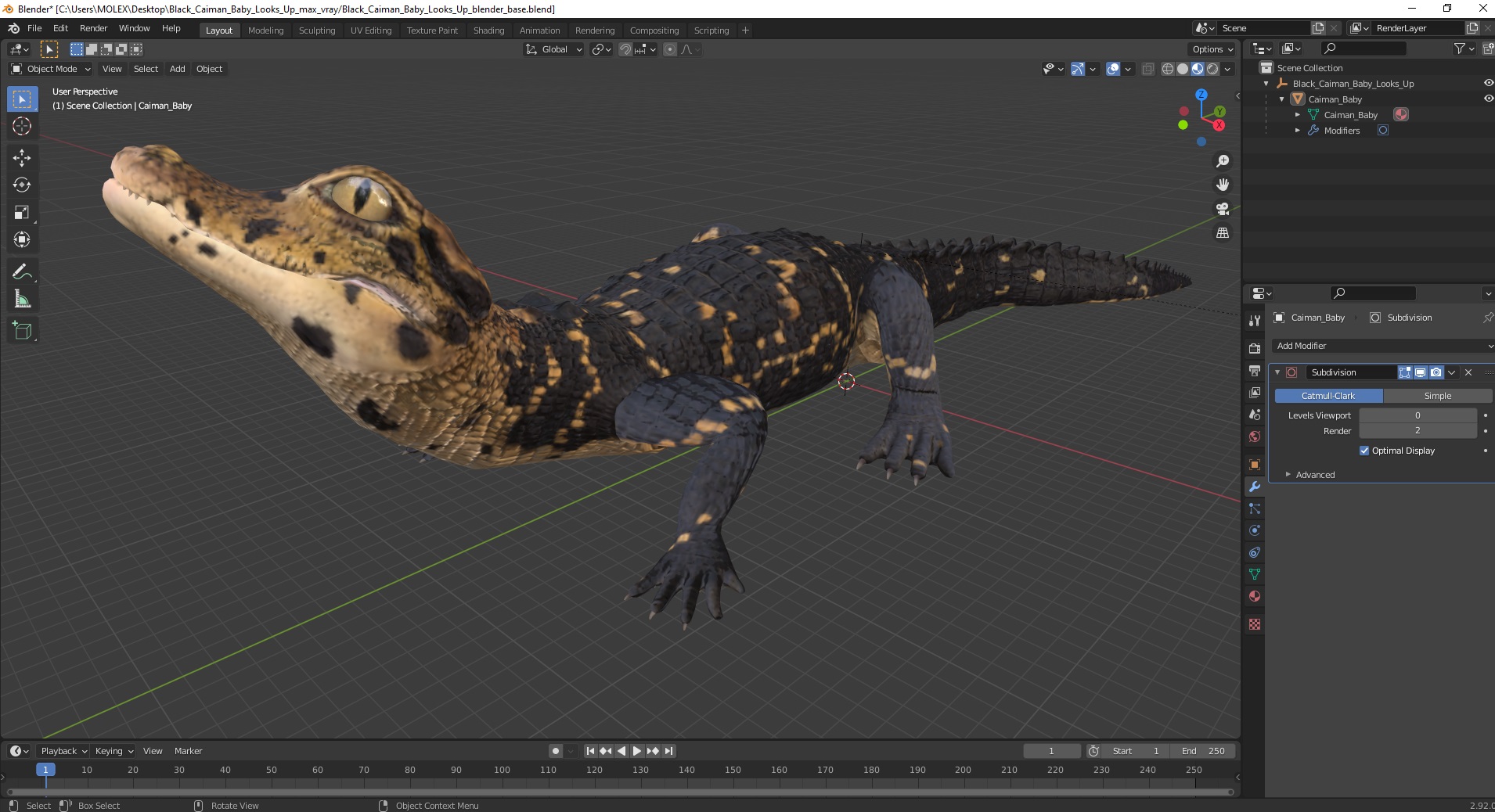 3D Black Caiman Baby Looks Up