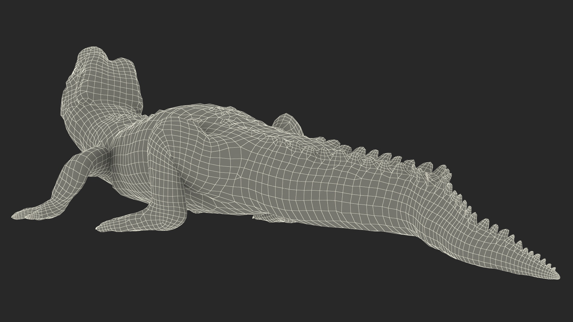 3D Black Caiman Baby Looks Up