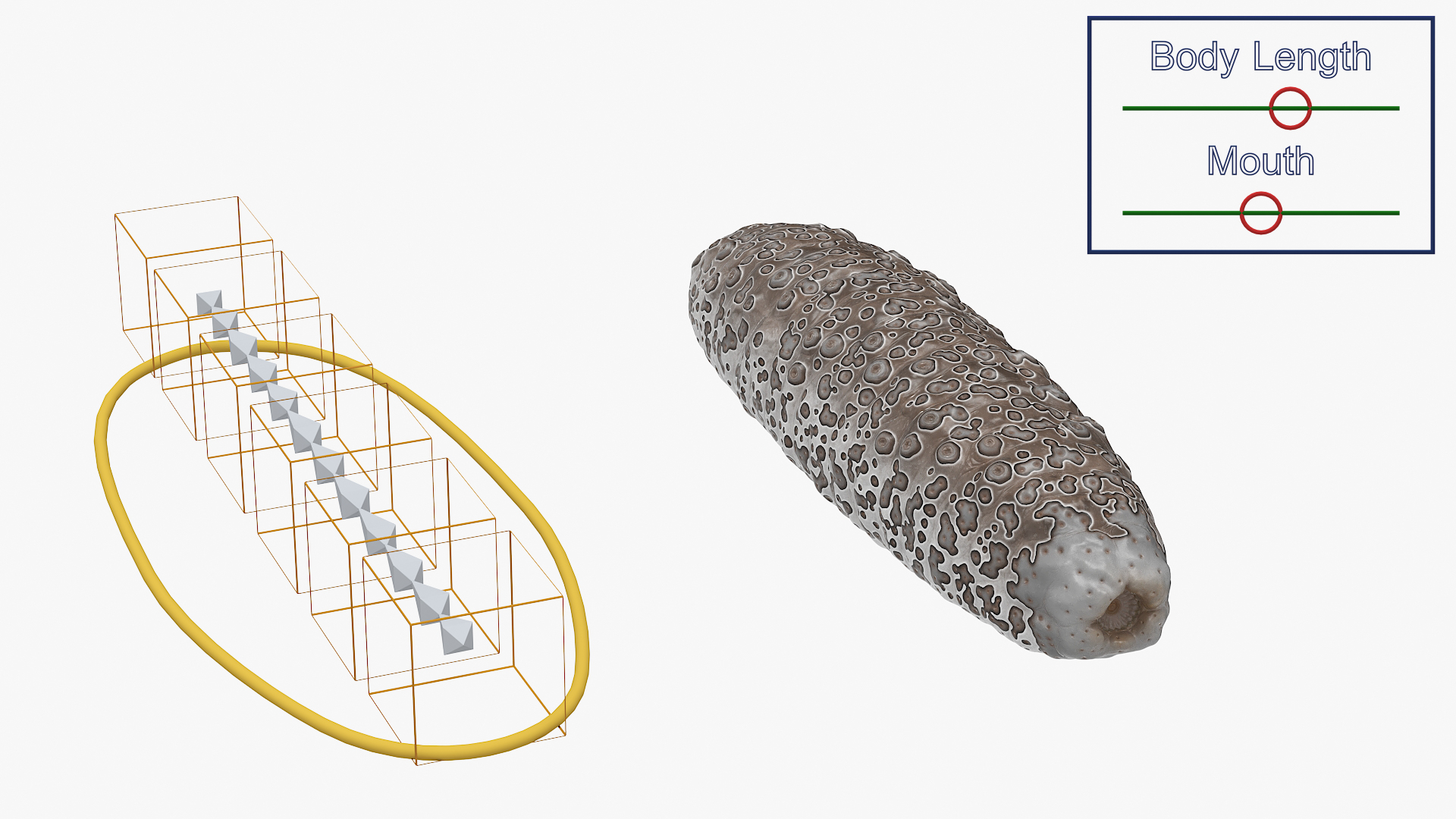 3D model Trepang Brown Rigged