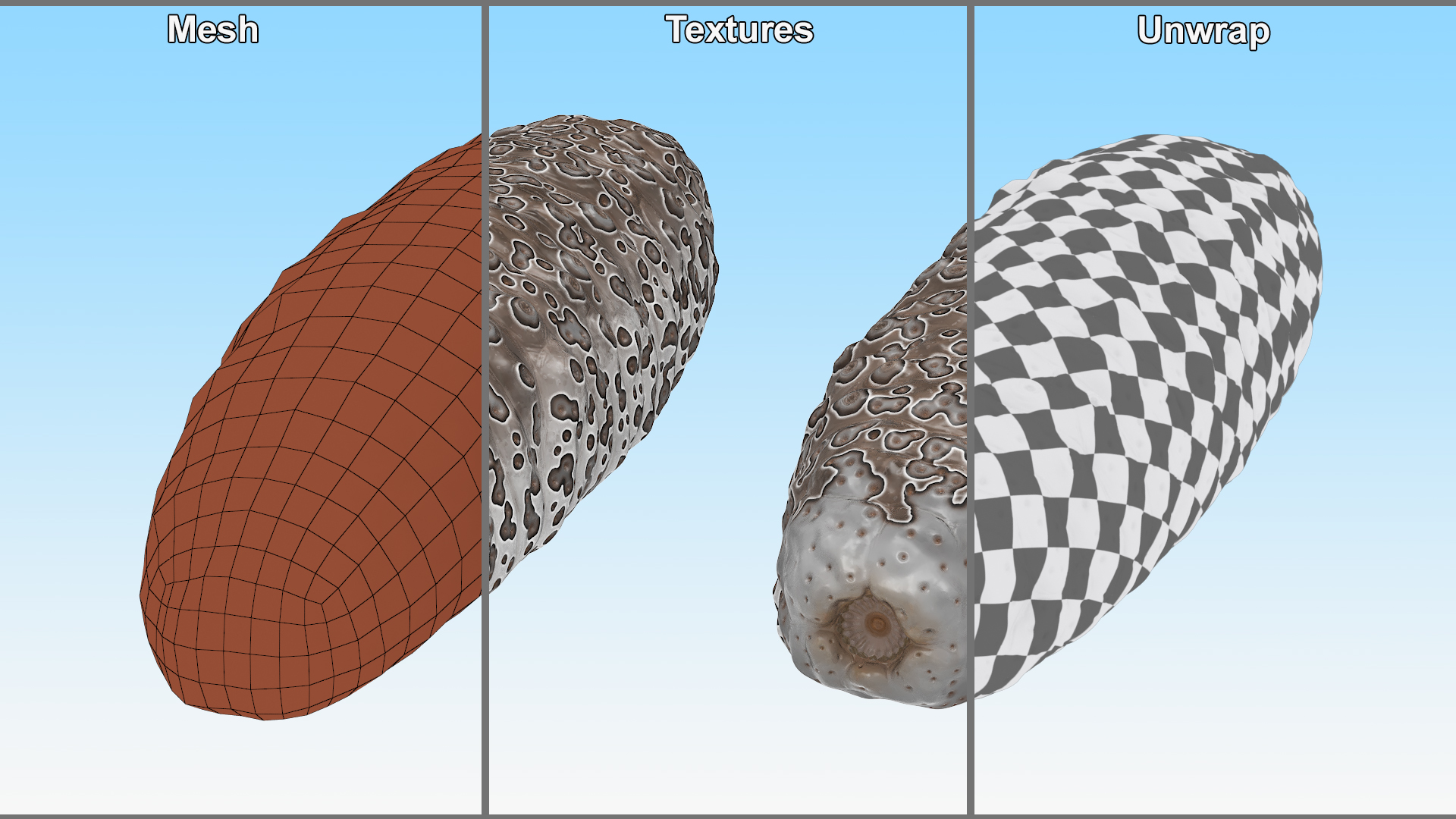 3D model Trepang Brown Rigged