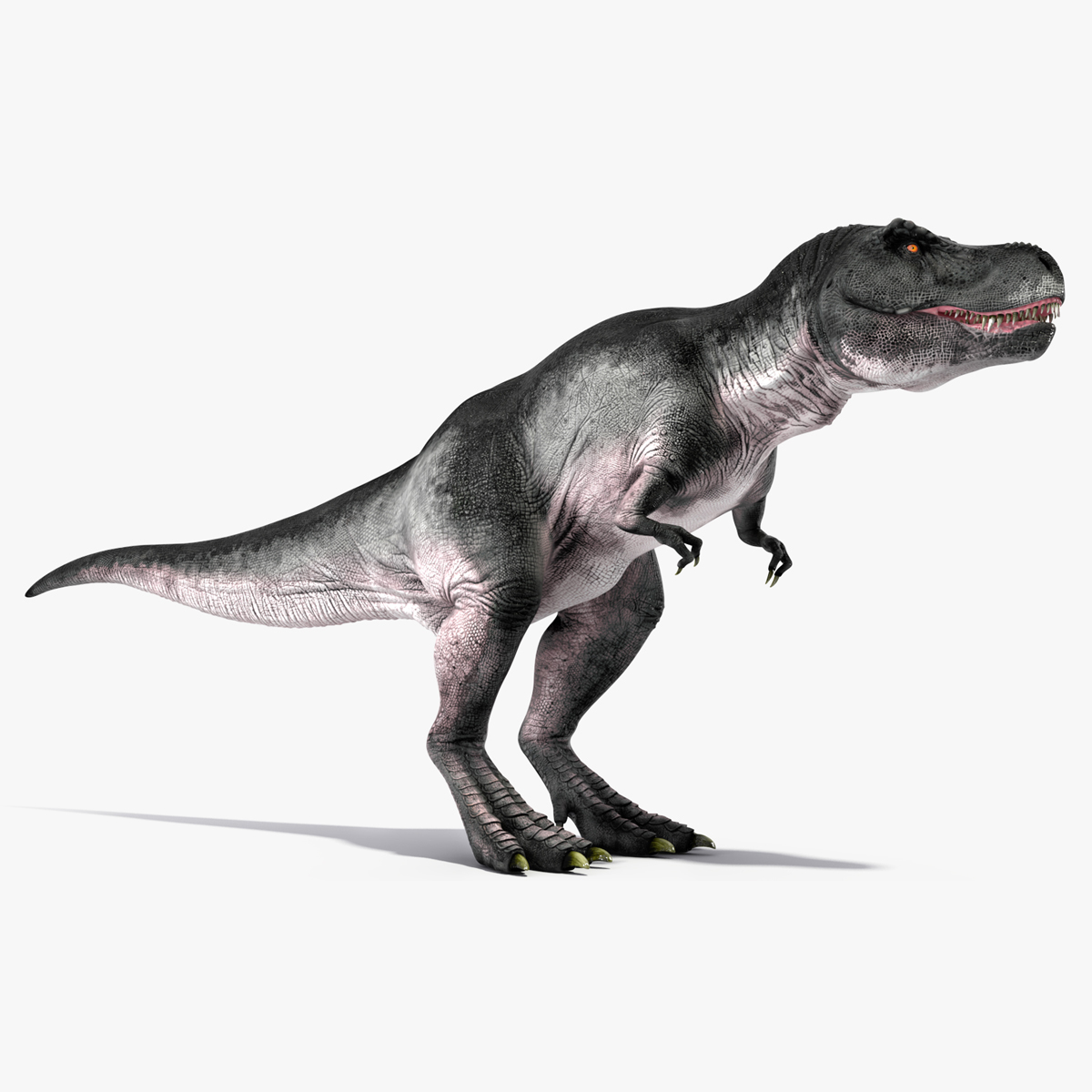 3D model T Rex Idle Animated Rigged for Maya