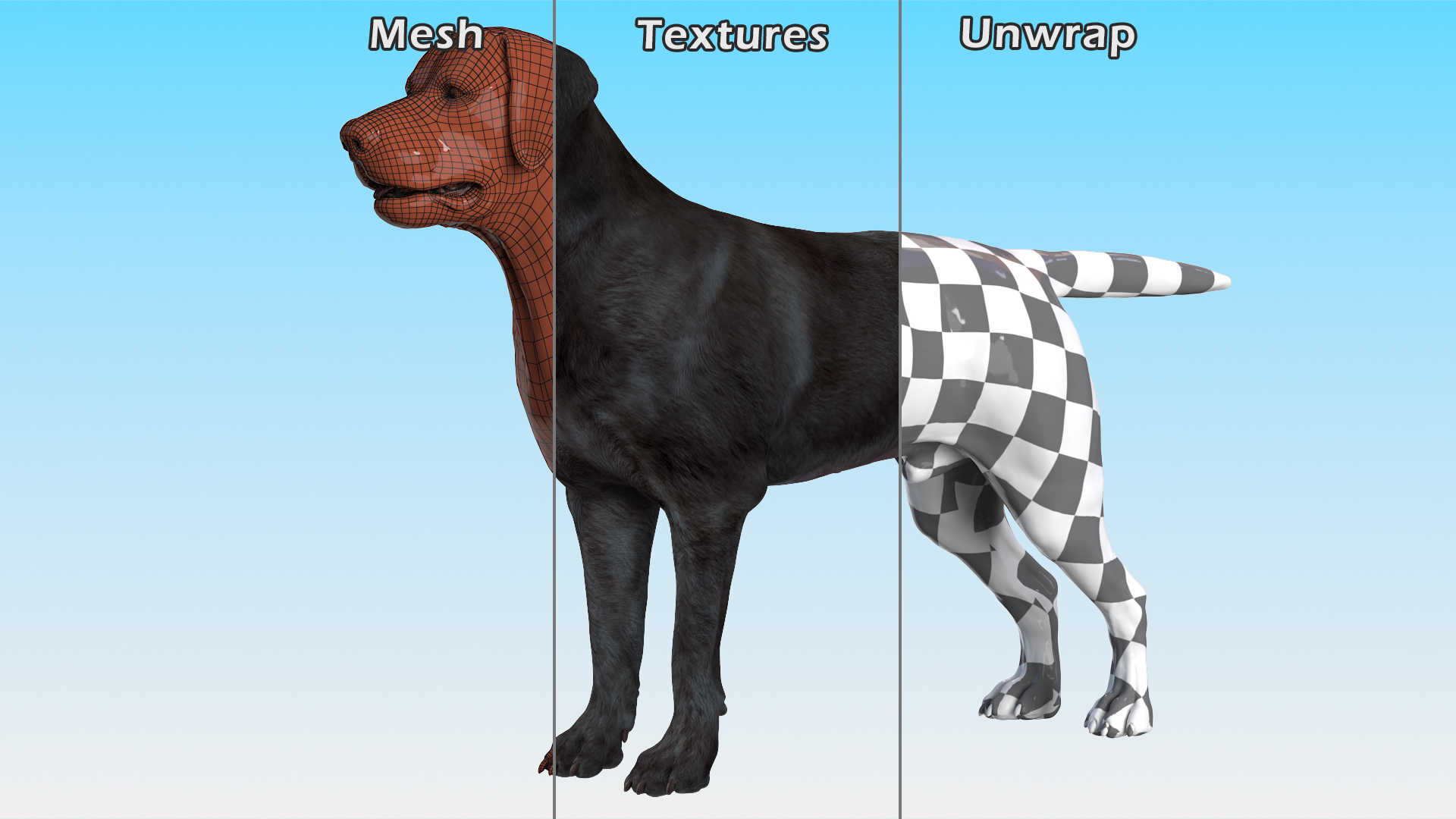 3D model Labrador Dog Black Rigged