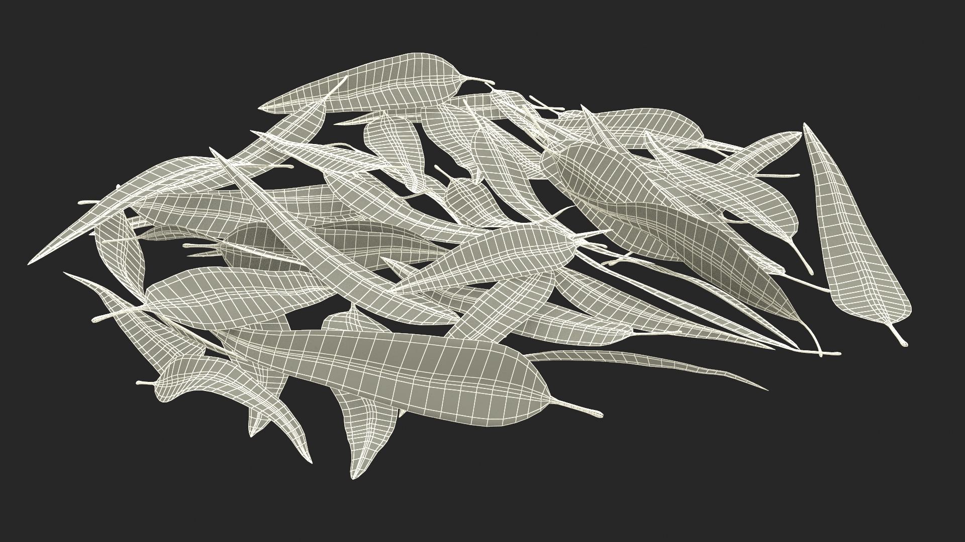 3D Pile of Fresh Eucalyptus Leaves