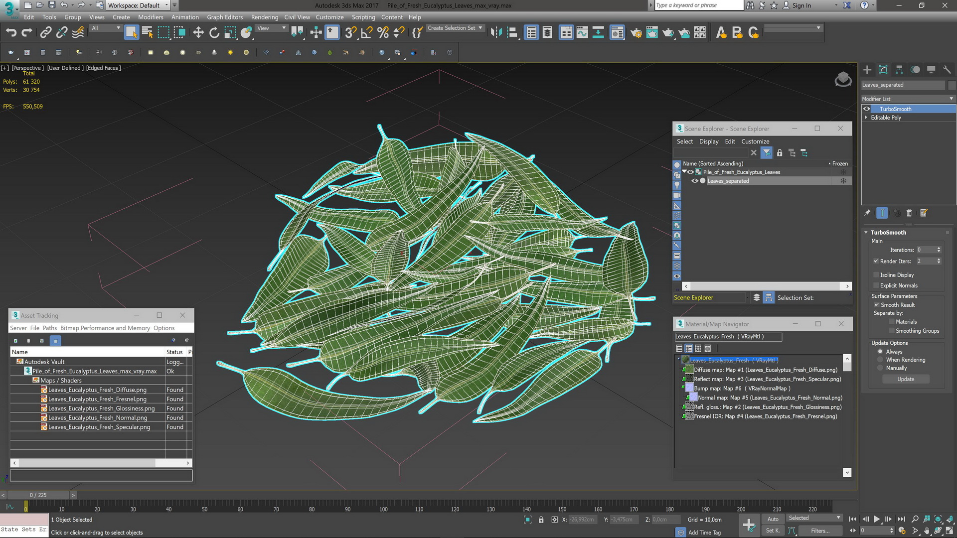 3D Pile of Fresh Eucalyptus Leaves