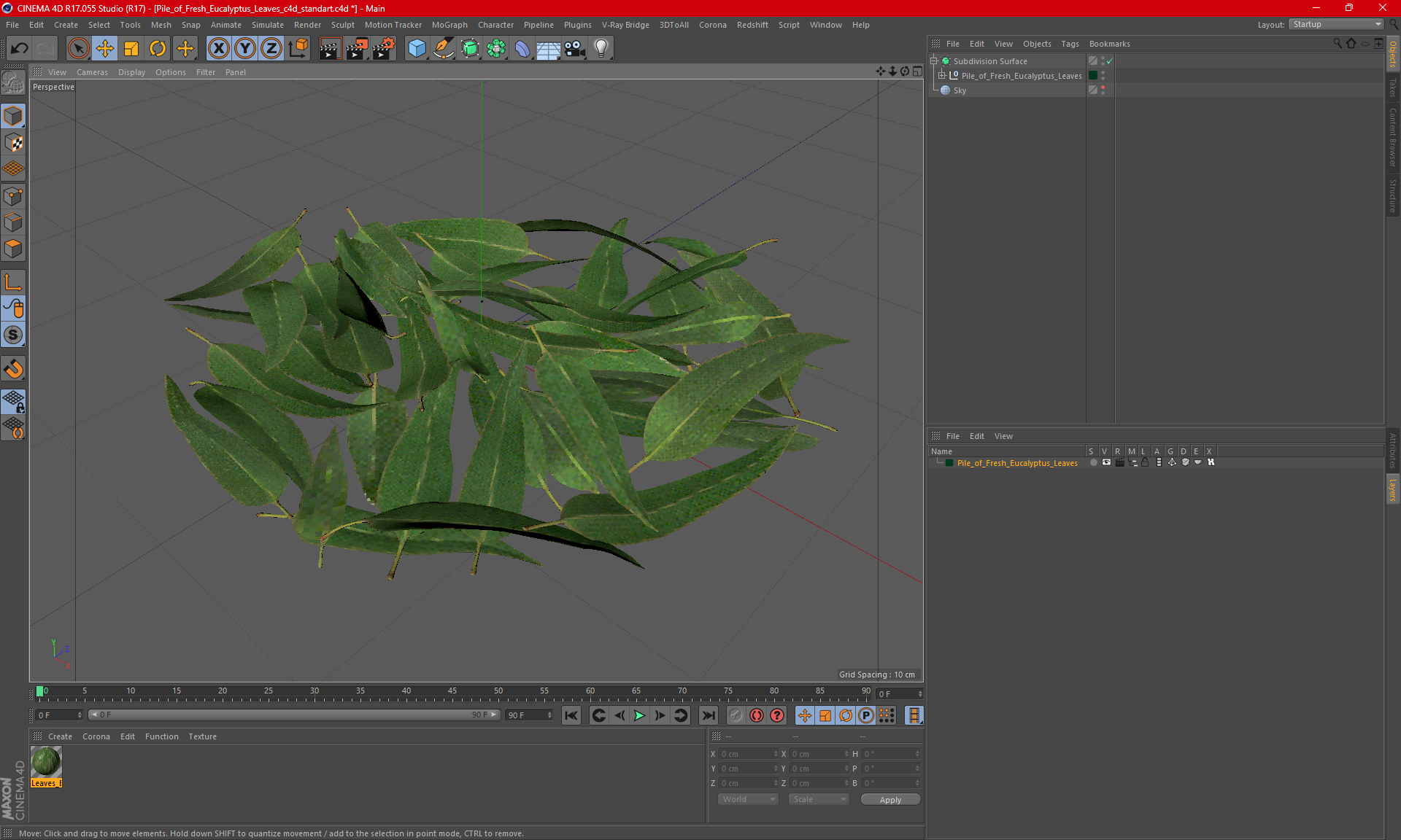 3D Pile of Fresh Eucalyptus Leaves