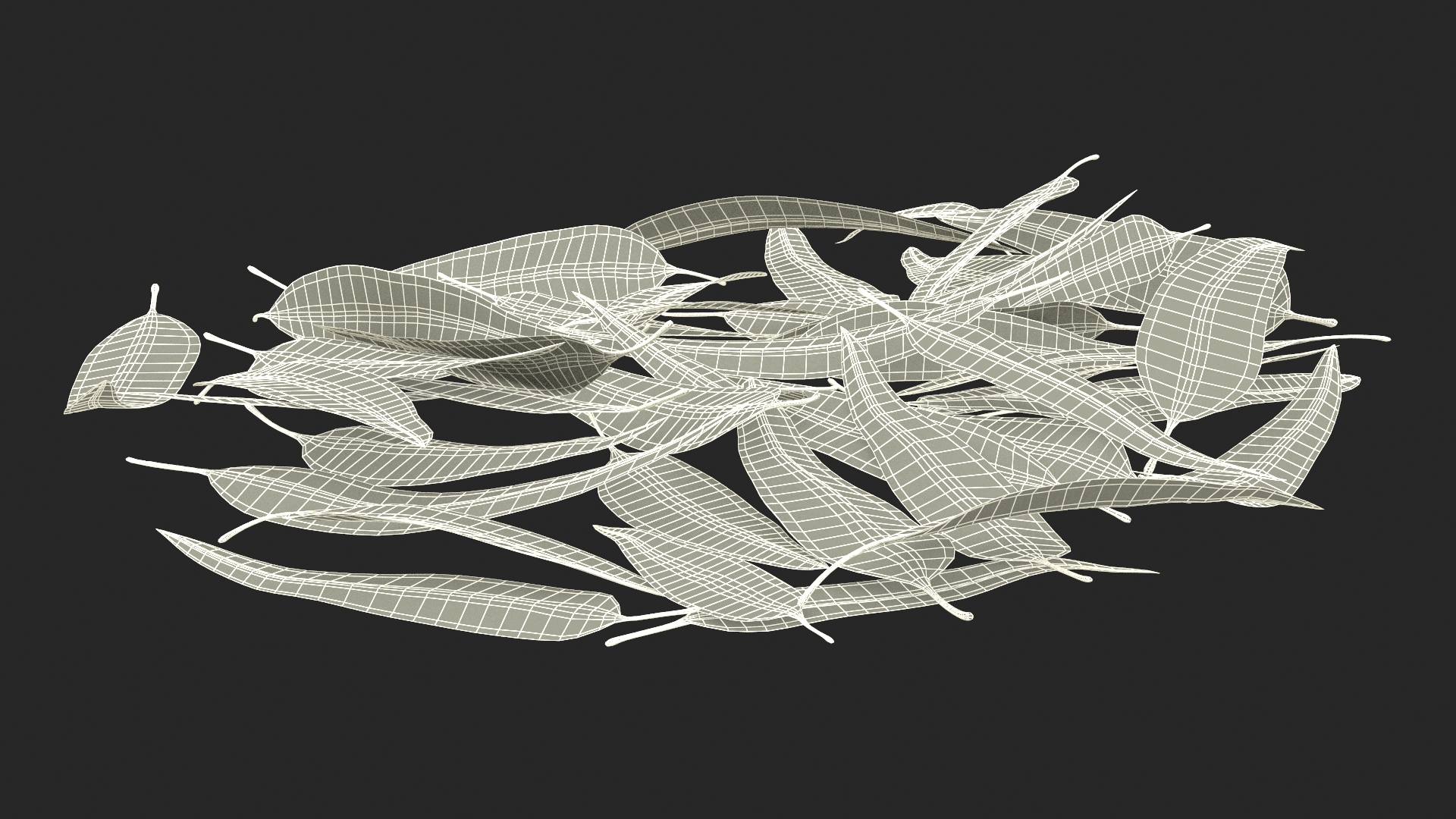 3D Pile of Fresh Eucalyptus Leaves