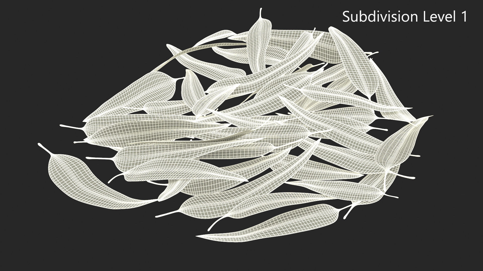 3D Pile of Fresh Eucalyptus Leaves