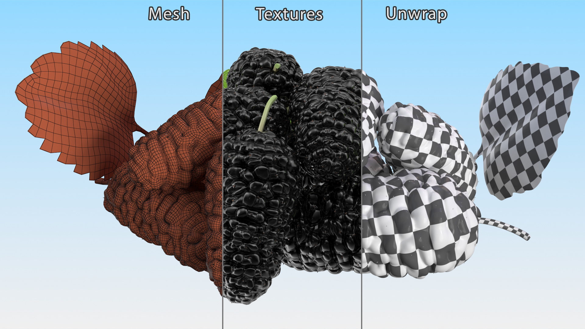 3D Pile of Mulberry Fruit Black model