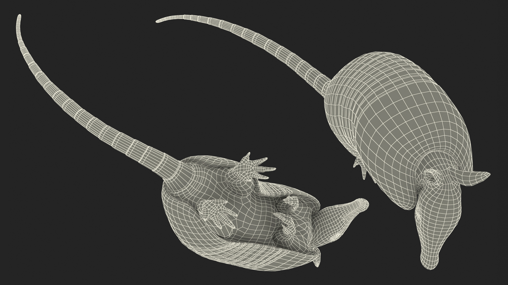3D Armadillo in Hind Legs Pose Pink Fur