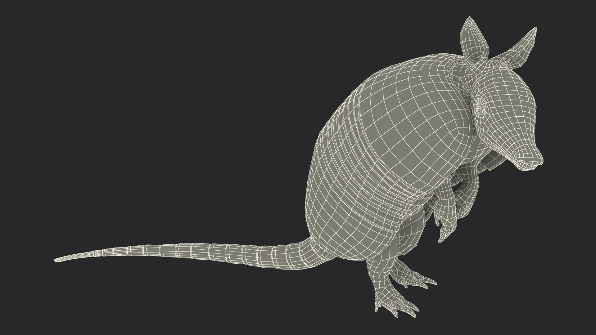 3D Armadillo in Hind Legs Pose Pink Fur