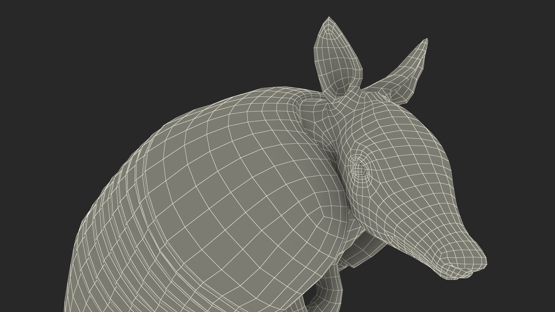 3D Armadillo in Hind Legs Pose Pink Fur