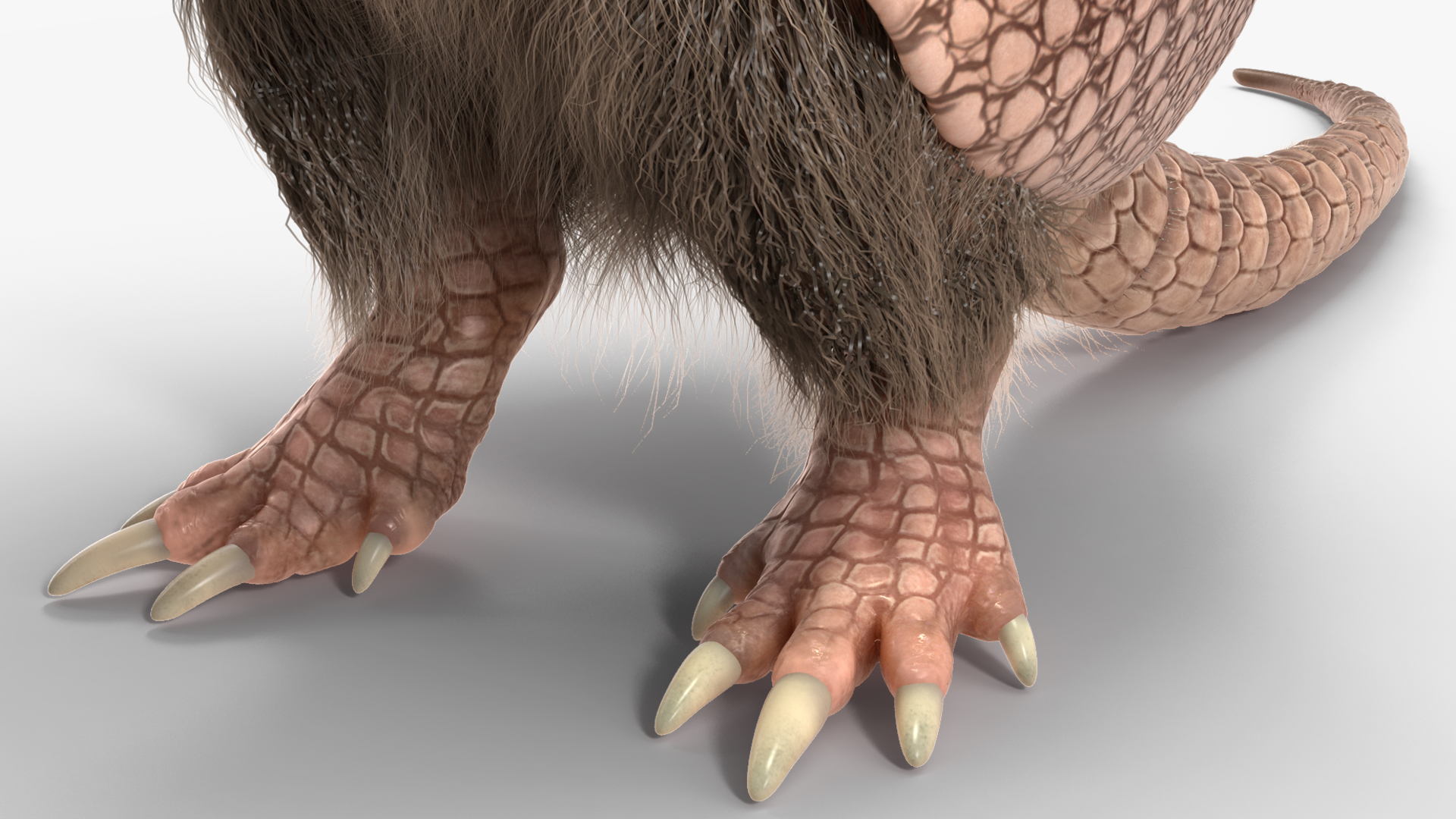 3D Armadillo in Hind Legs Pose Pink Fur