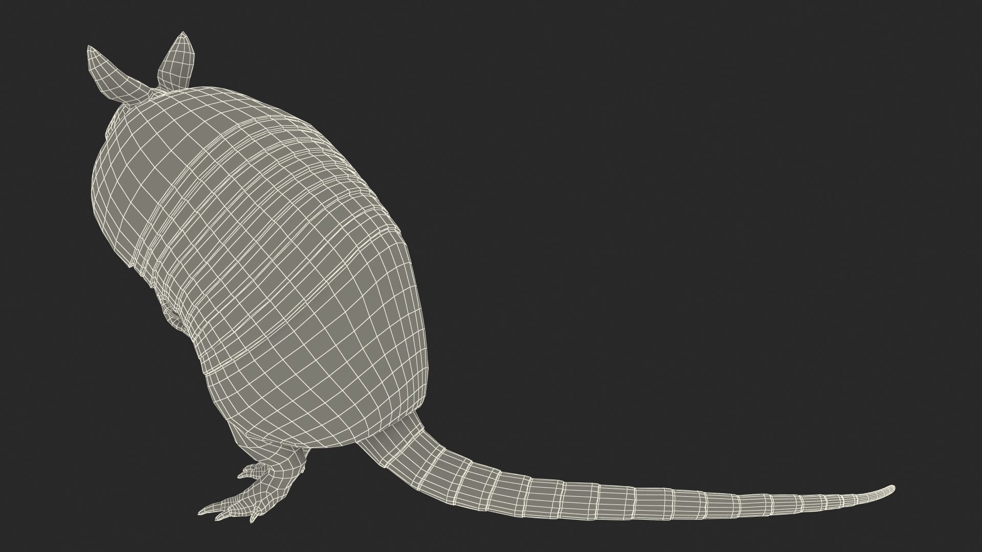 3D Armadillo in Hind Legs Pose Pink Fur