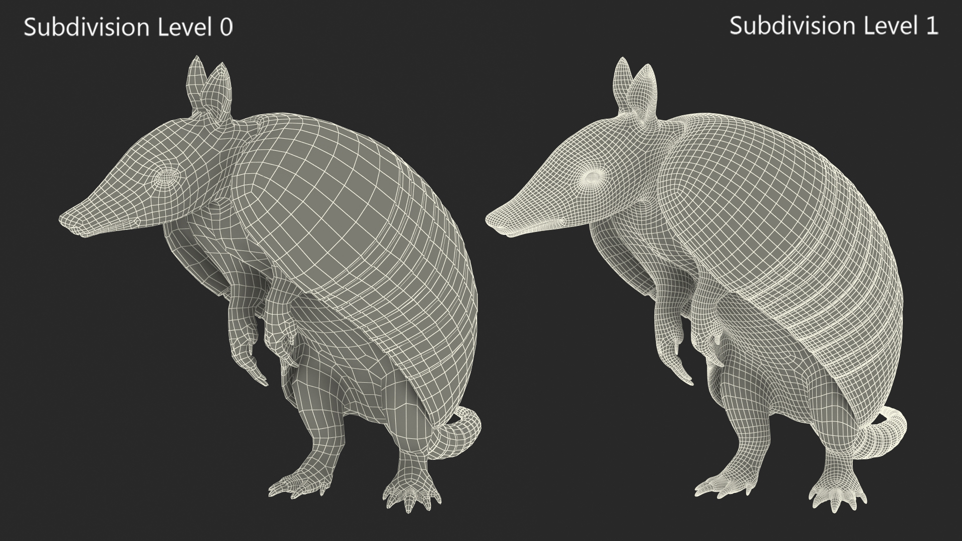 3D Armadillo in Hind Legs Pose Pink Fur