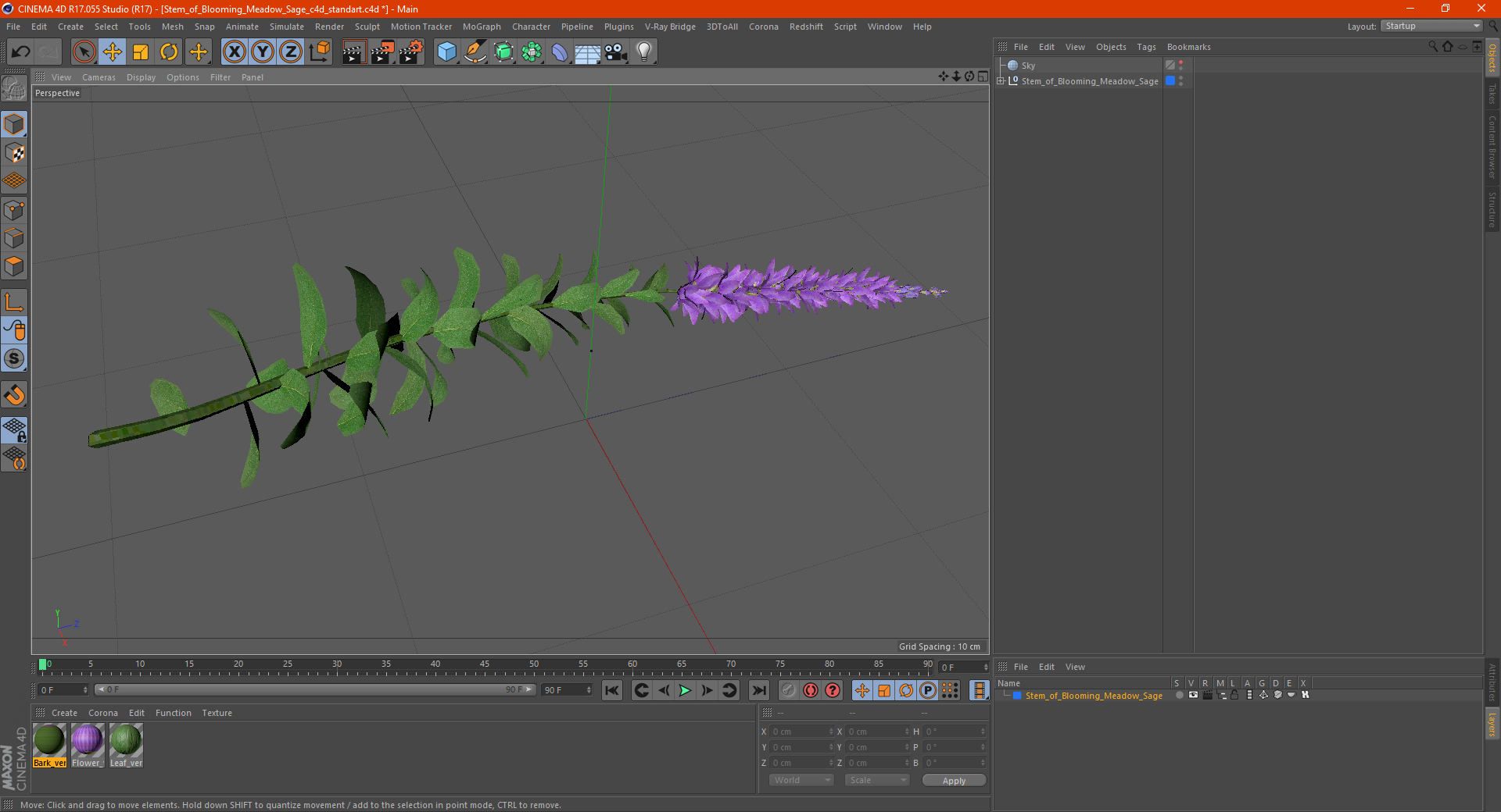 3D Stem of Blooming Meadow Sage model