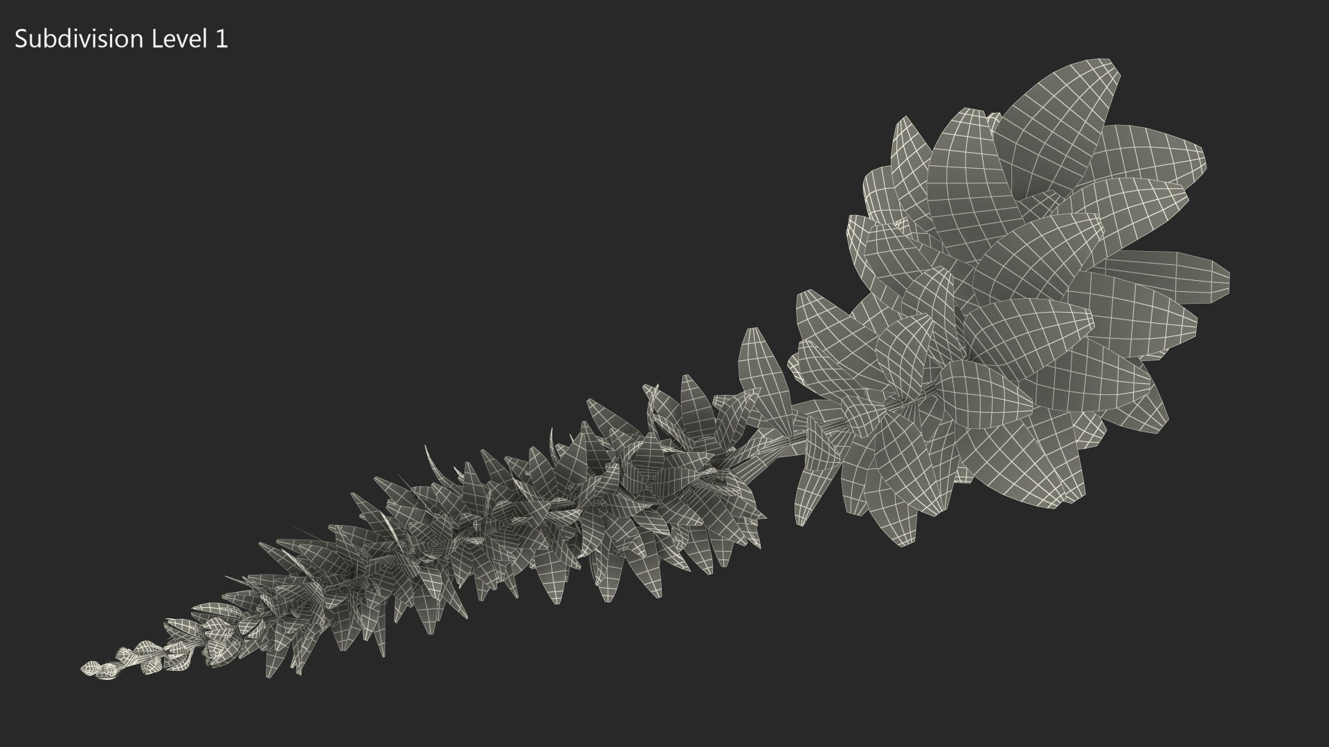 3D Stem of Blooming Meadow Sage model