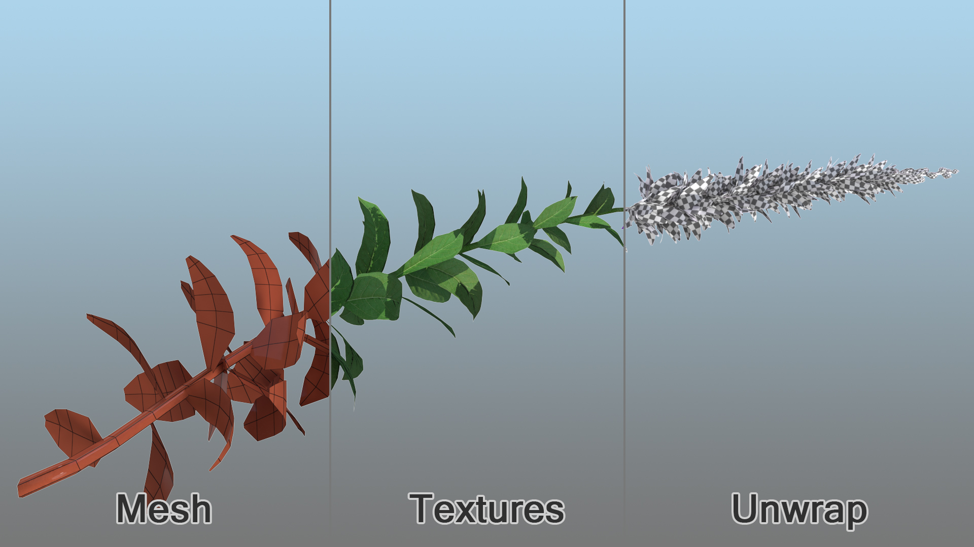 3D Stem of Blooming Meadow Sage model