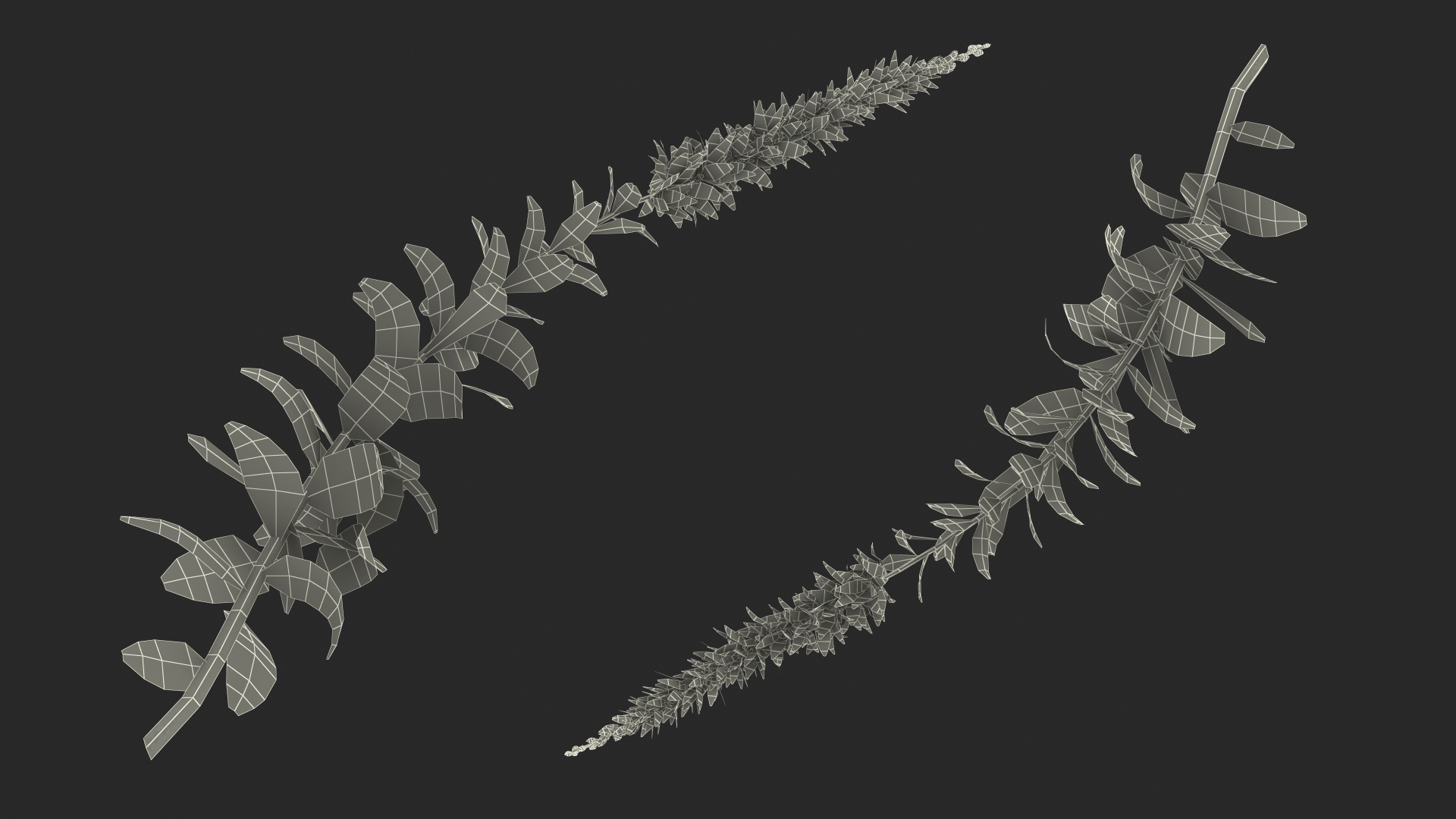 3D Stem of Blooming Meadow Sage model