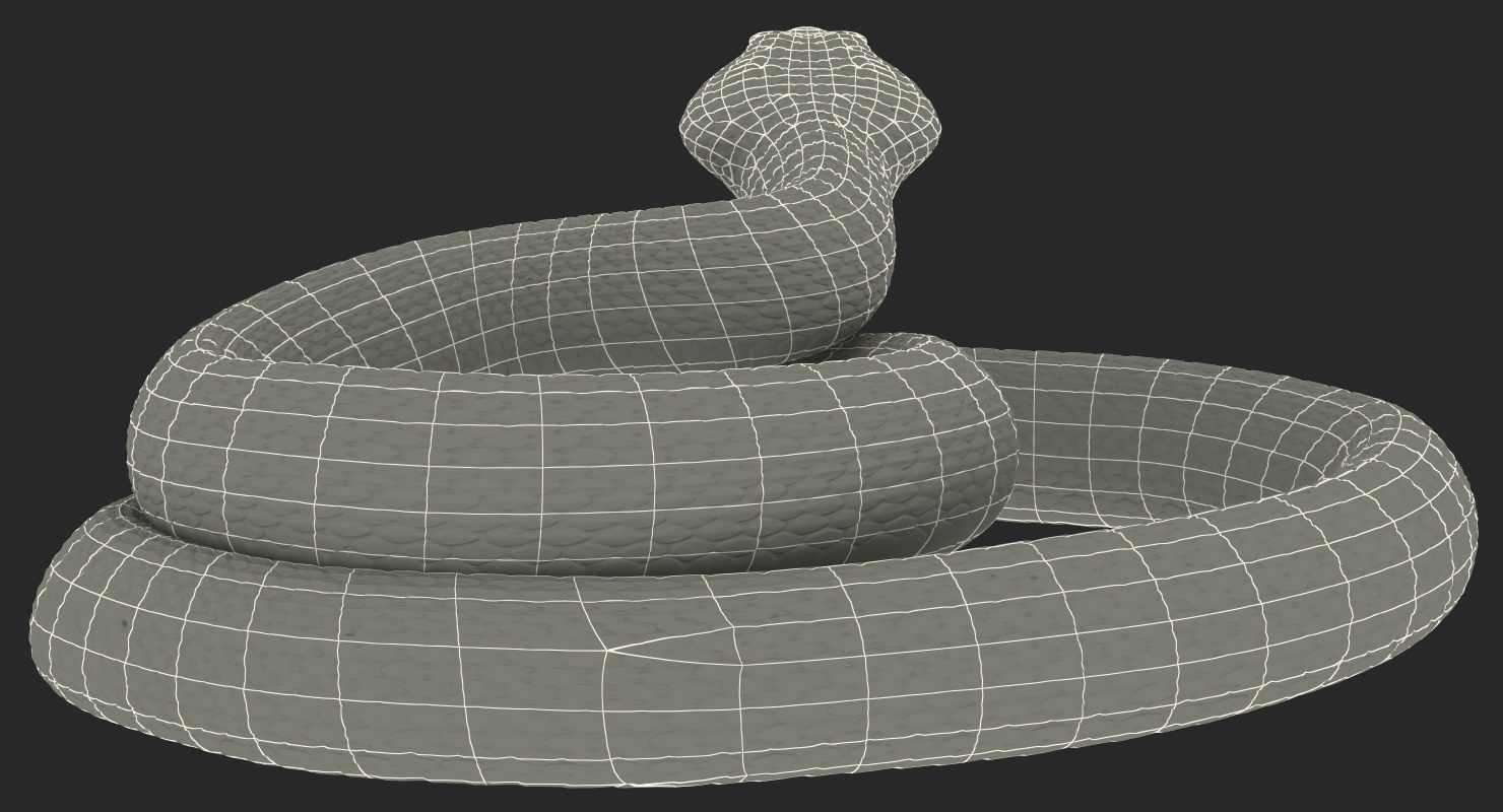 3D Dark Rattlesnake