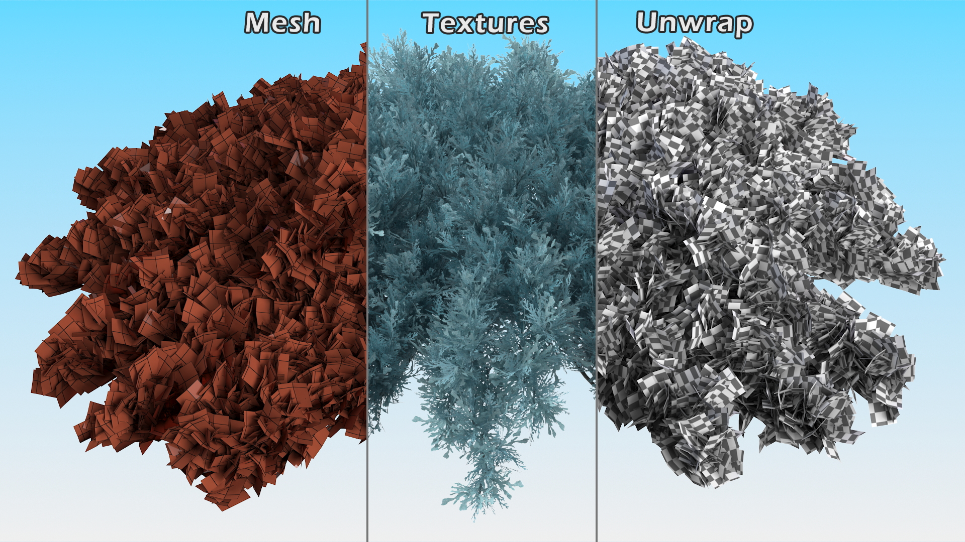 3D Juniperus Sabina Blue