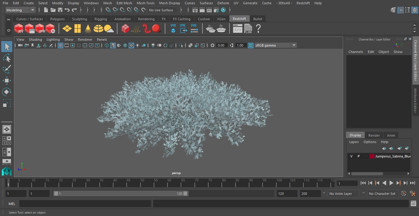 3D Juniperus Sabina Blue