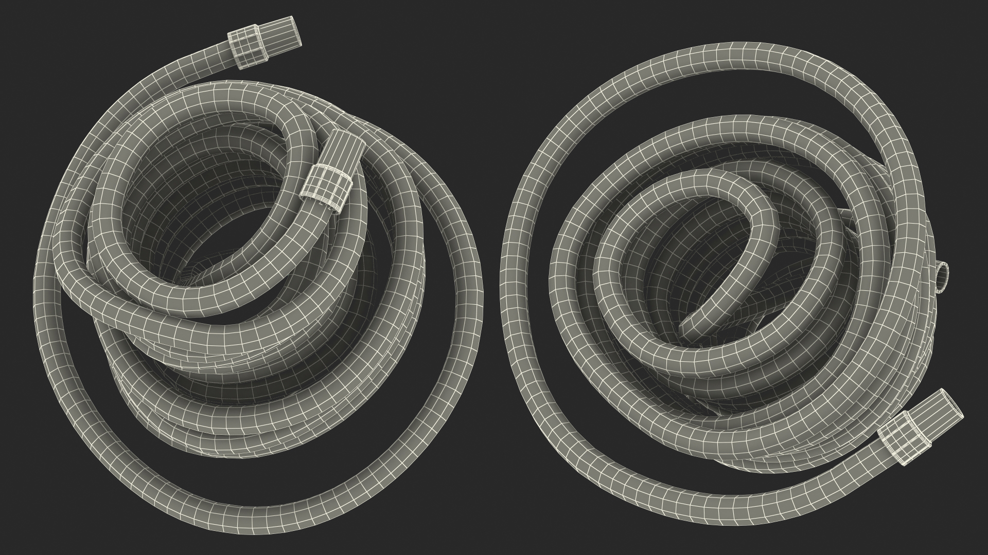 Rolled Suction Hose 3D model