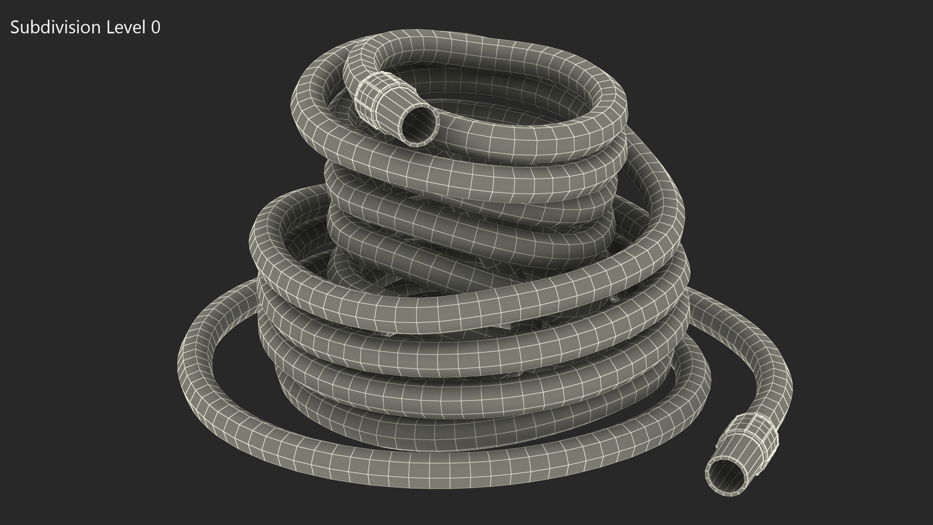 Rolled Suction Hose 3D model