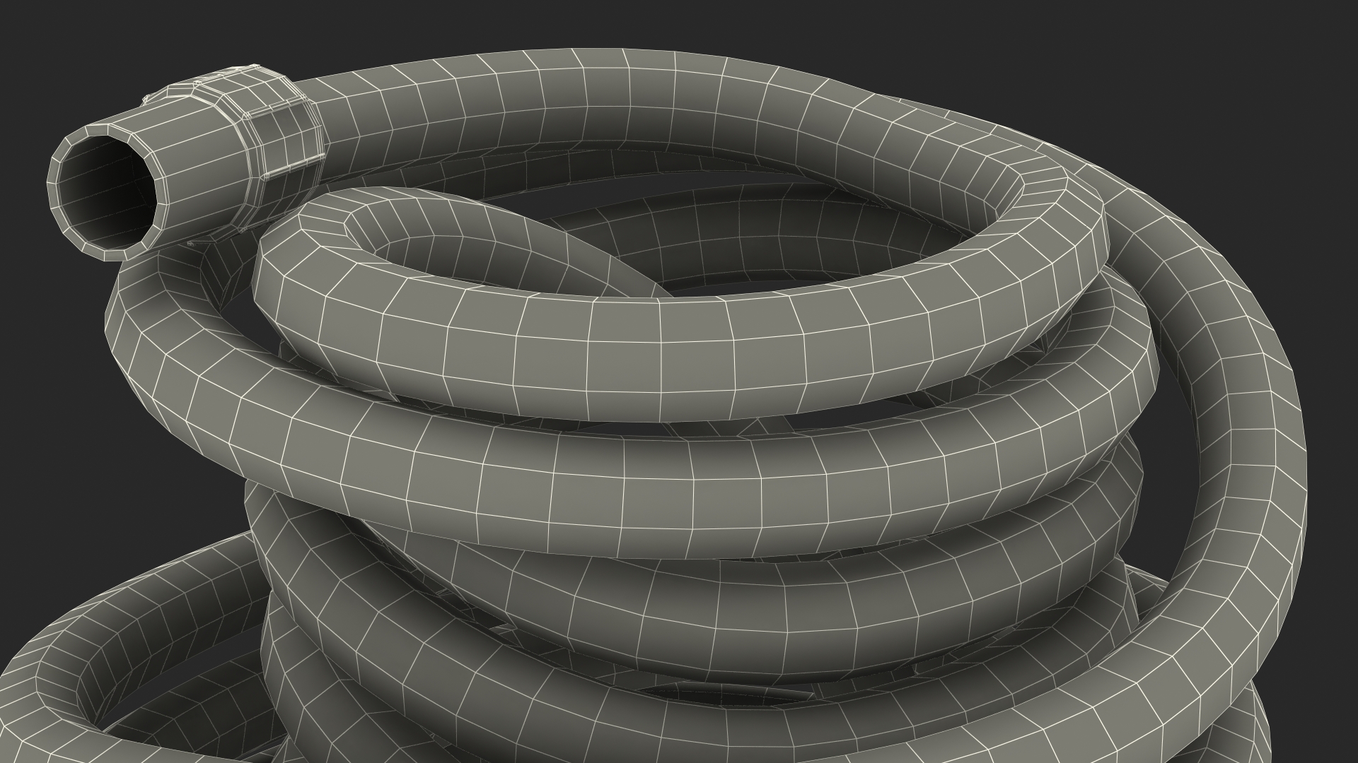 Rolled Suction Hose 3D model