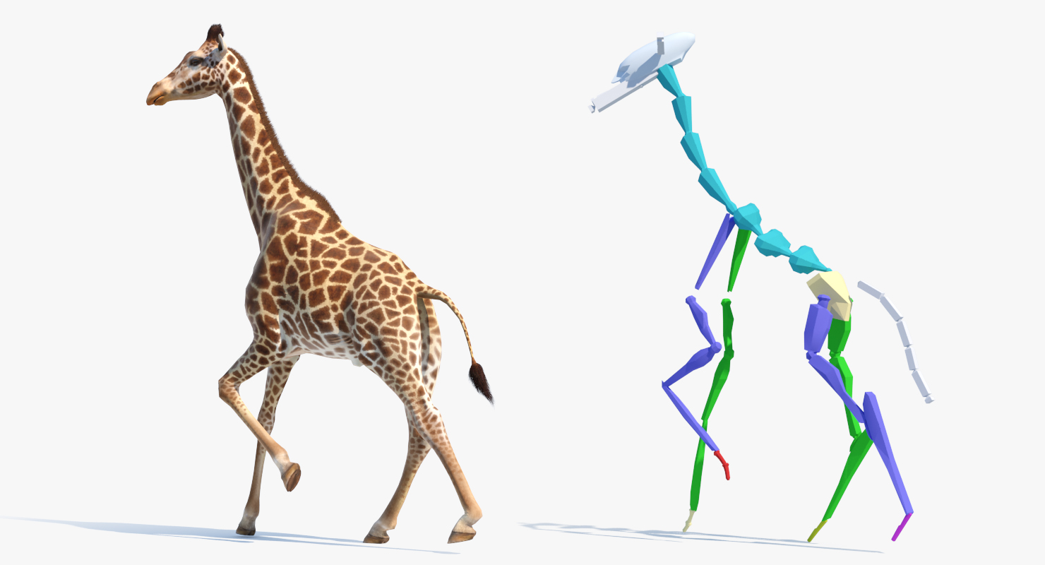 3D African Giraffe Fur Rigged