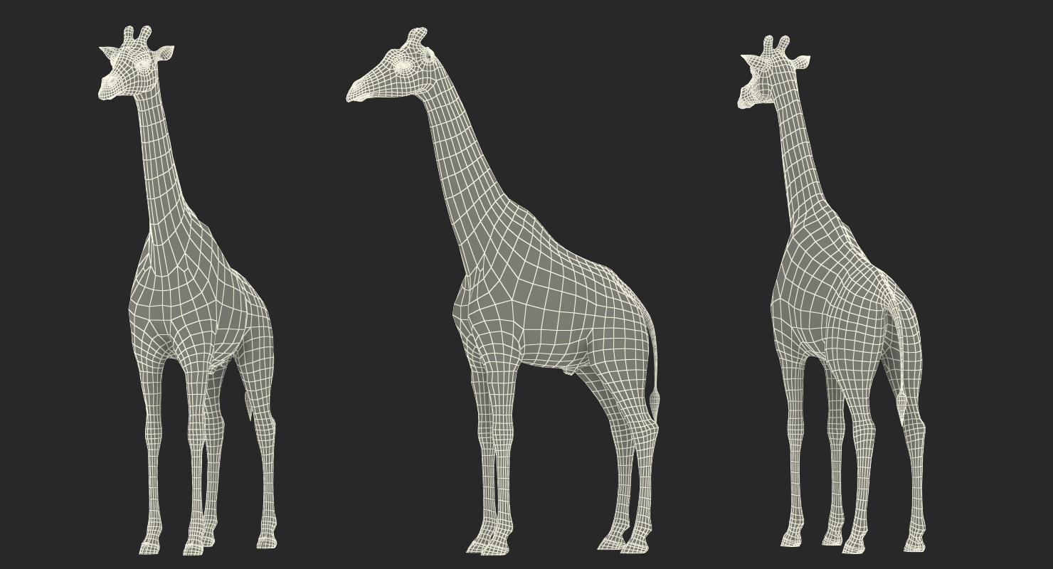 3D African Giraffe Fur Rigged