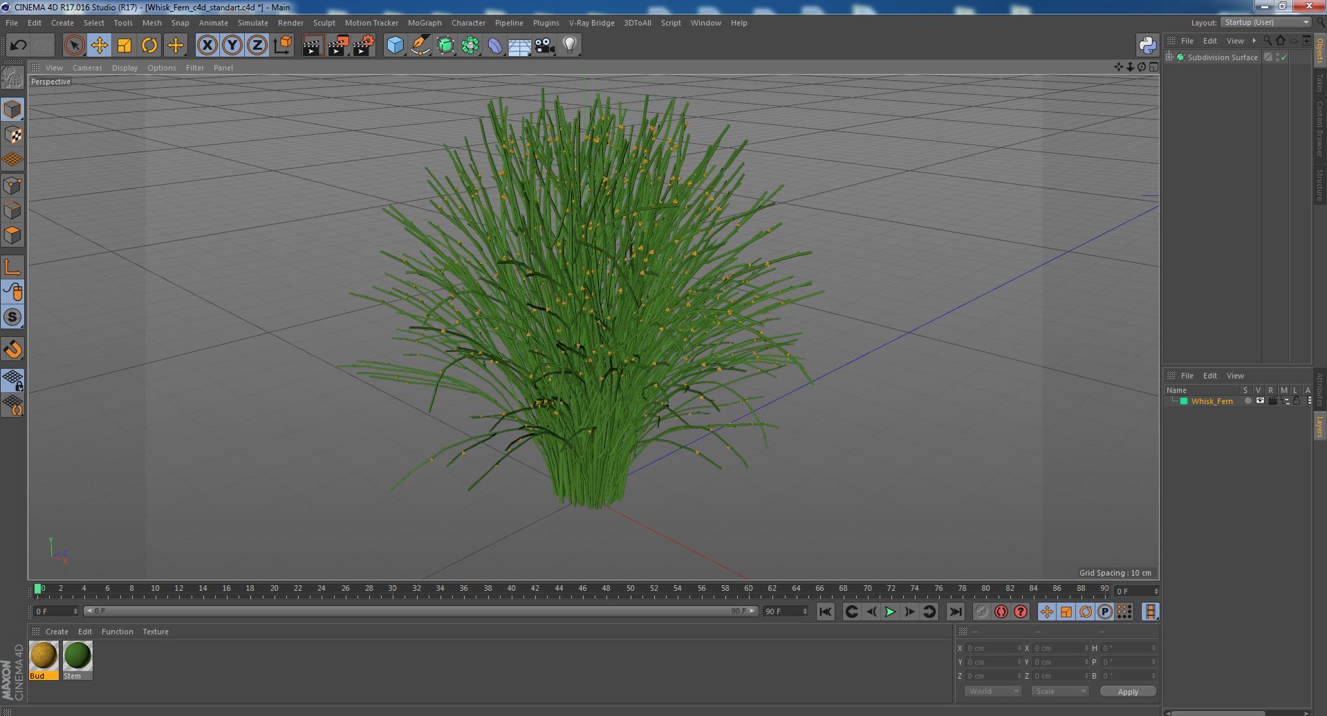 3D model Whisk Fern