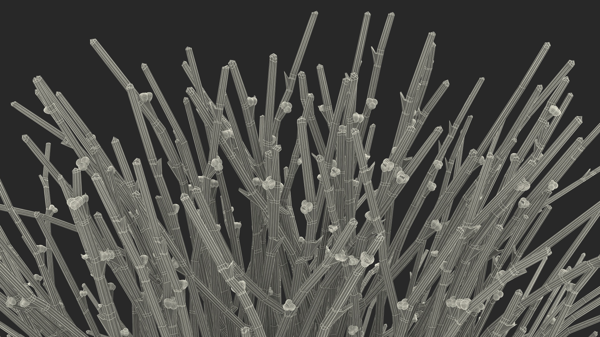 3D model Whisk Fern