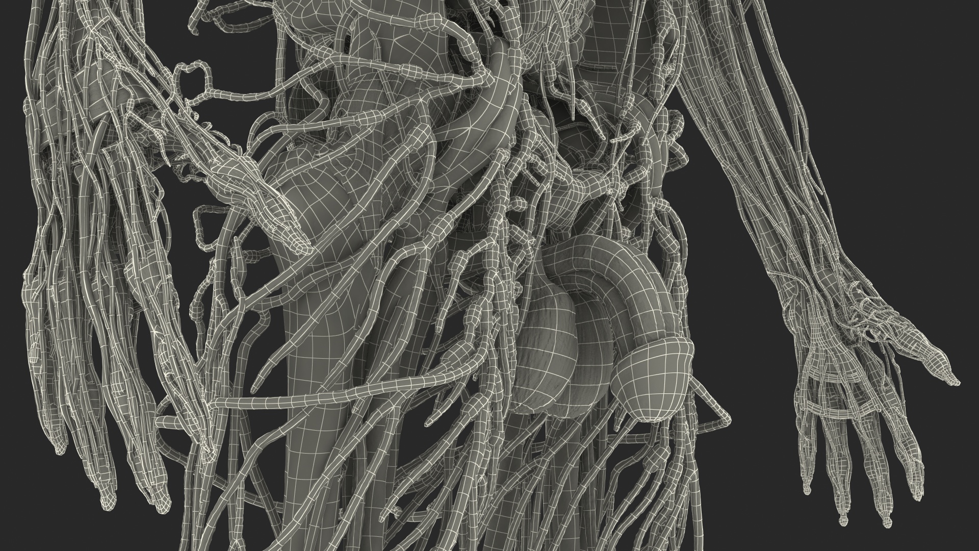 3D Male Skeleton Internal Organs Anatomy and Skin