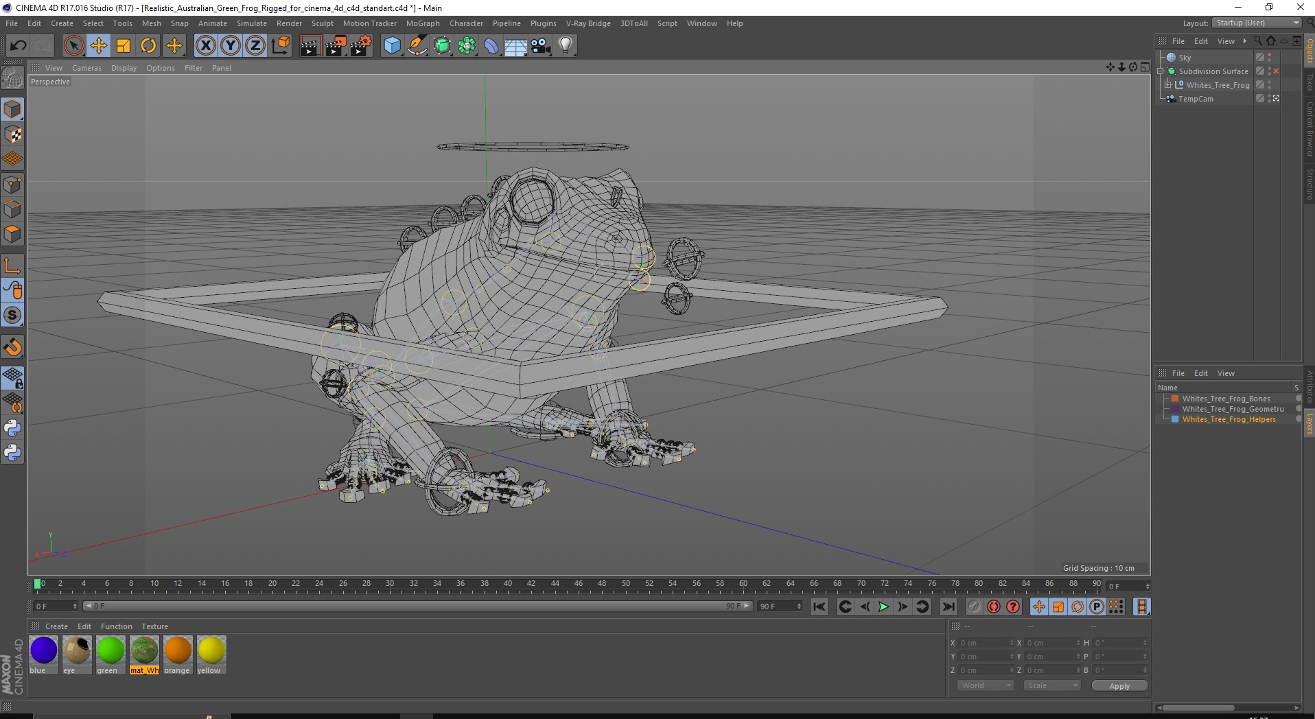 Realistic Australian Green Frog Rigged for Cinema 4D 3D