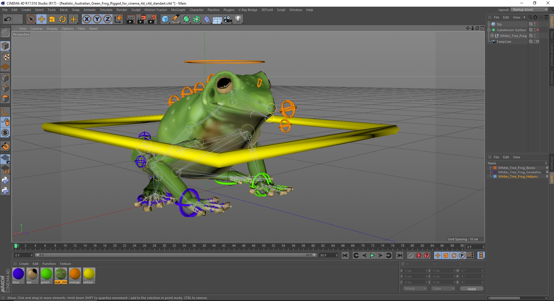 Realistic Australian Green Frog Rigged for Cinema 4D 3D
