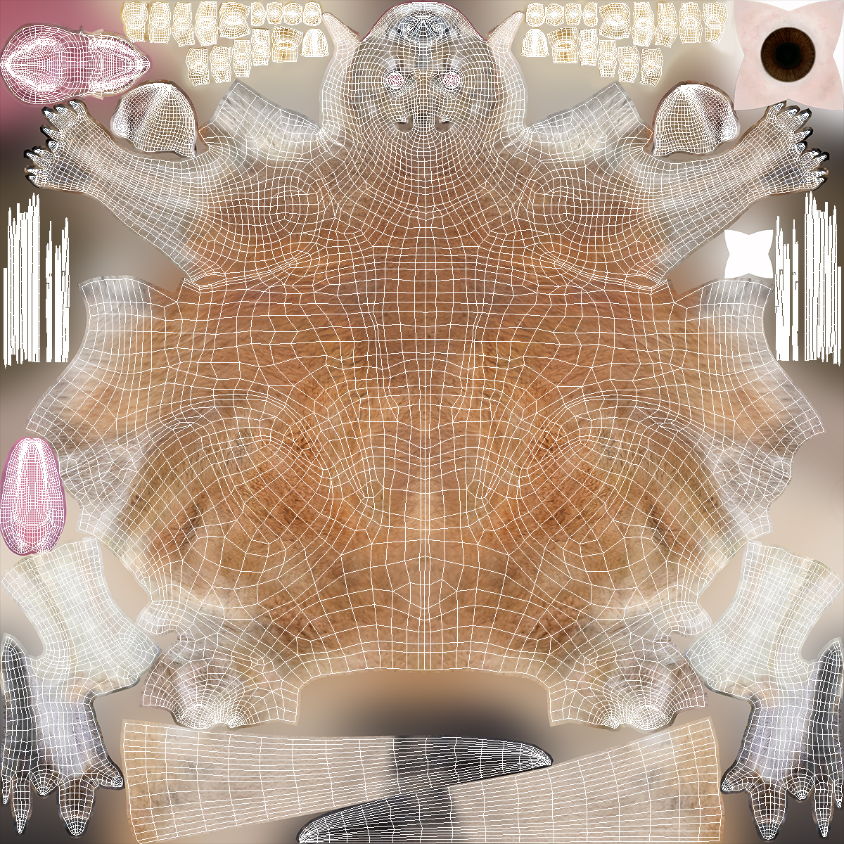 Kangaroo Fur Rigged 3D model