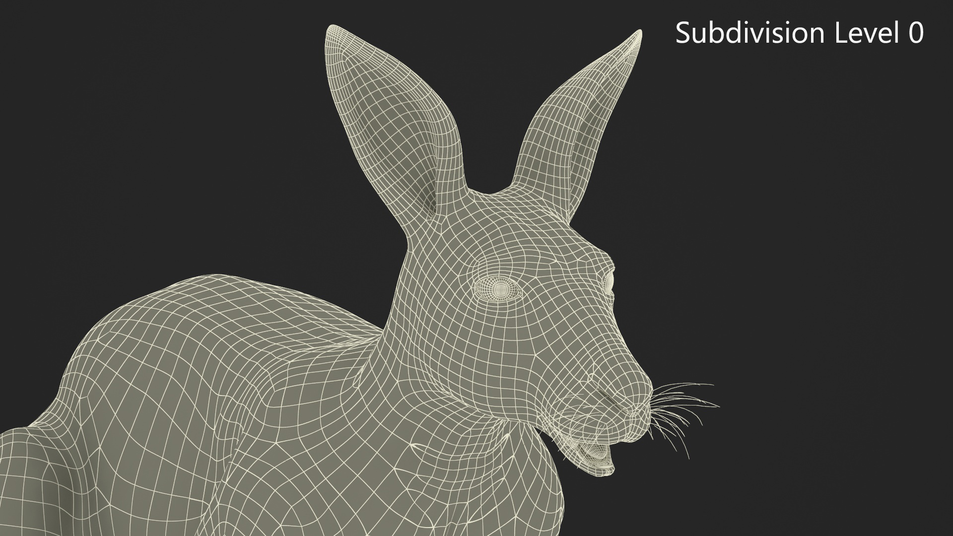 Kangaroo Fur Rigged 3D model
