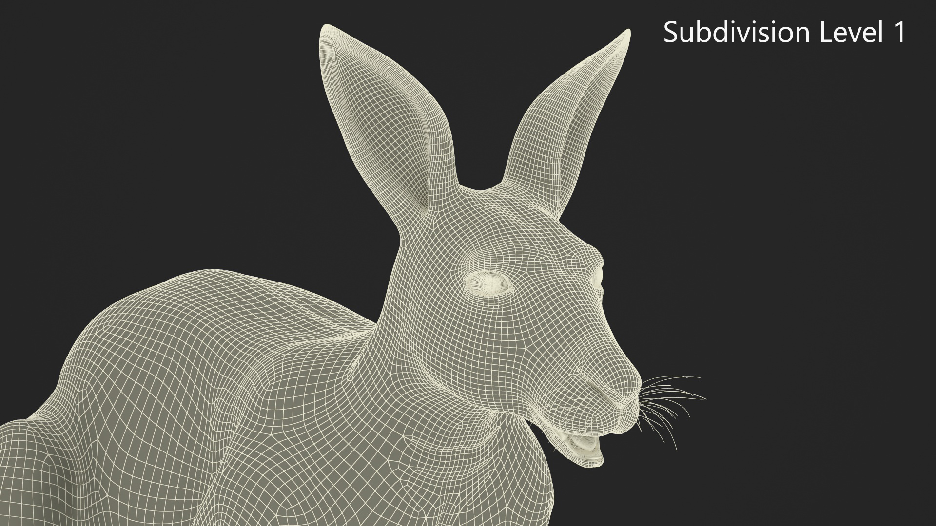 Kangaroo Fur Rigged 3D model
