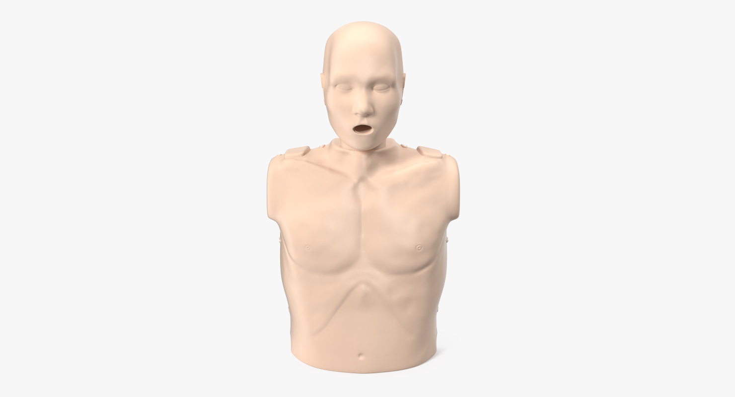 Half Body First Aid Training Dummy 3D model