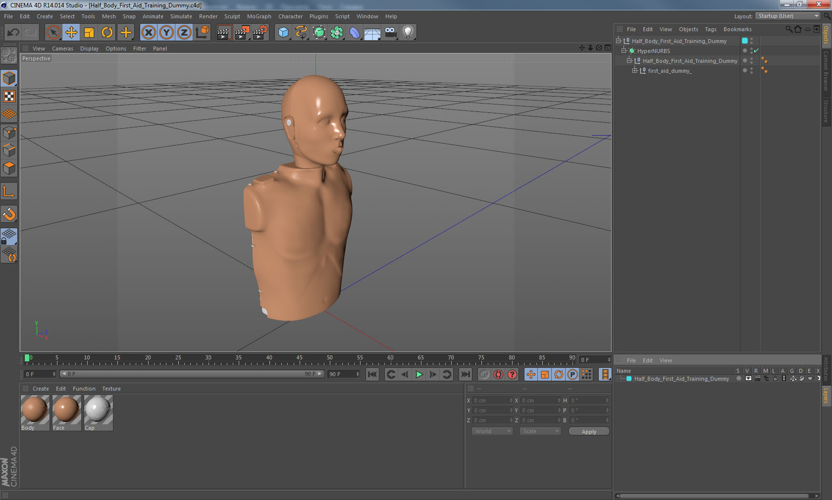 Half Body First Aid Training Dummy 3D model
