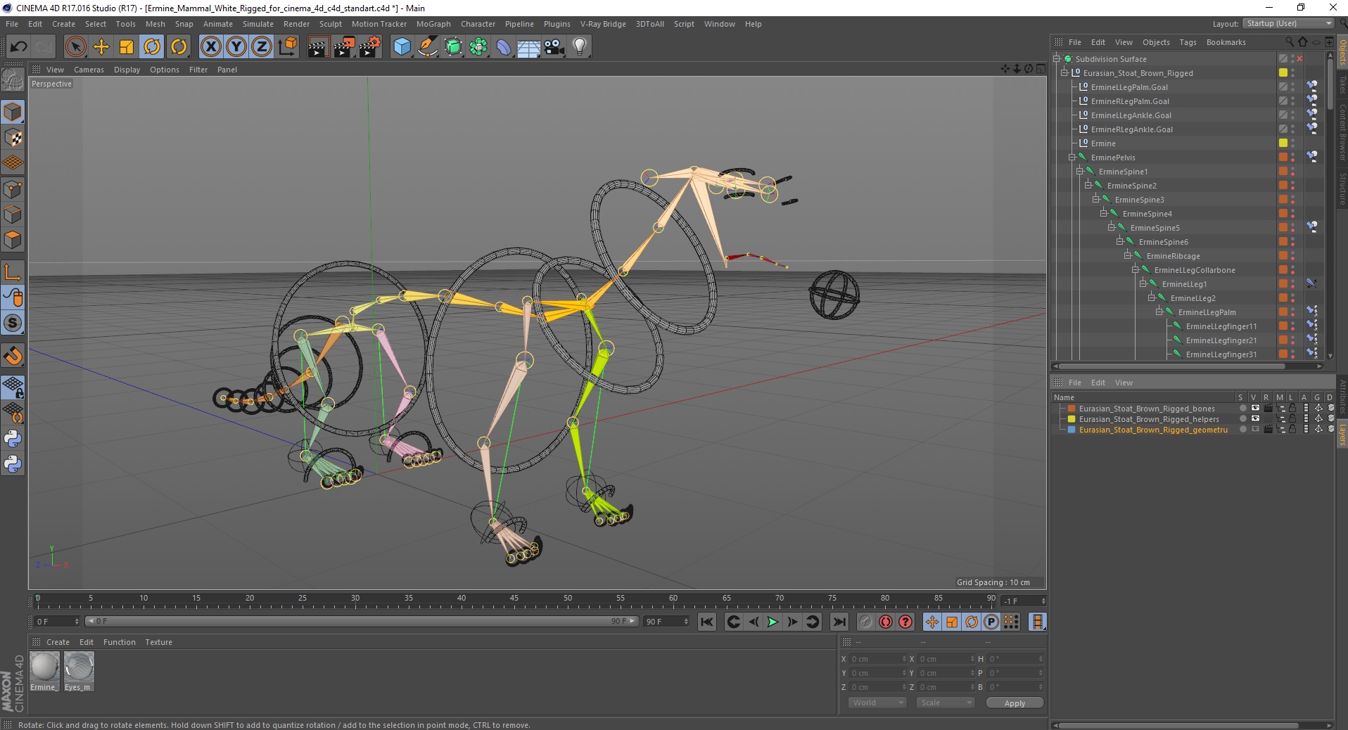 3D model Ermine Mammal White Rigged for Cinema 4D