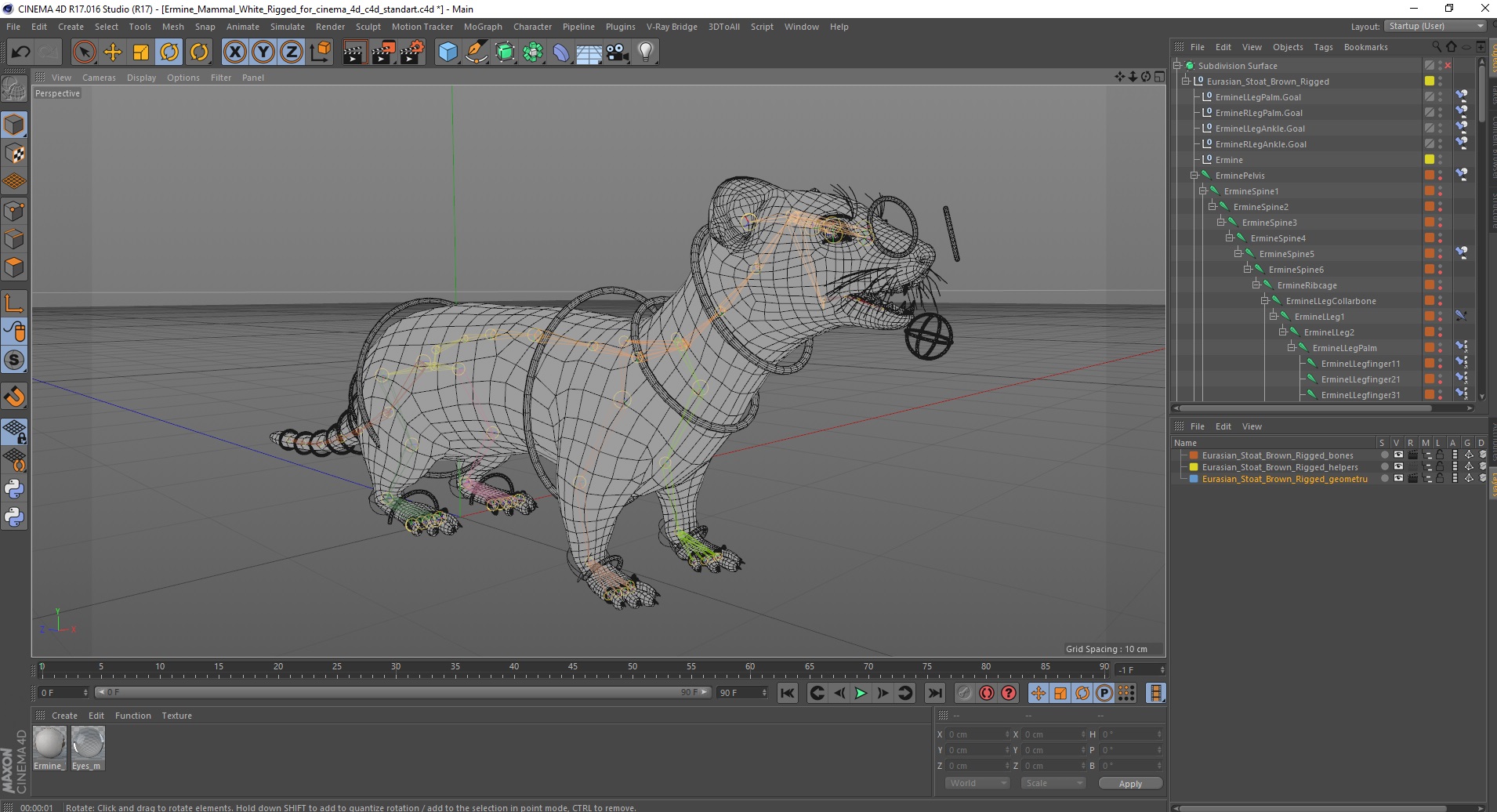 3D model Ermine Mammal White Rigged for Cinema 4D