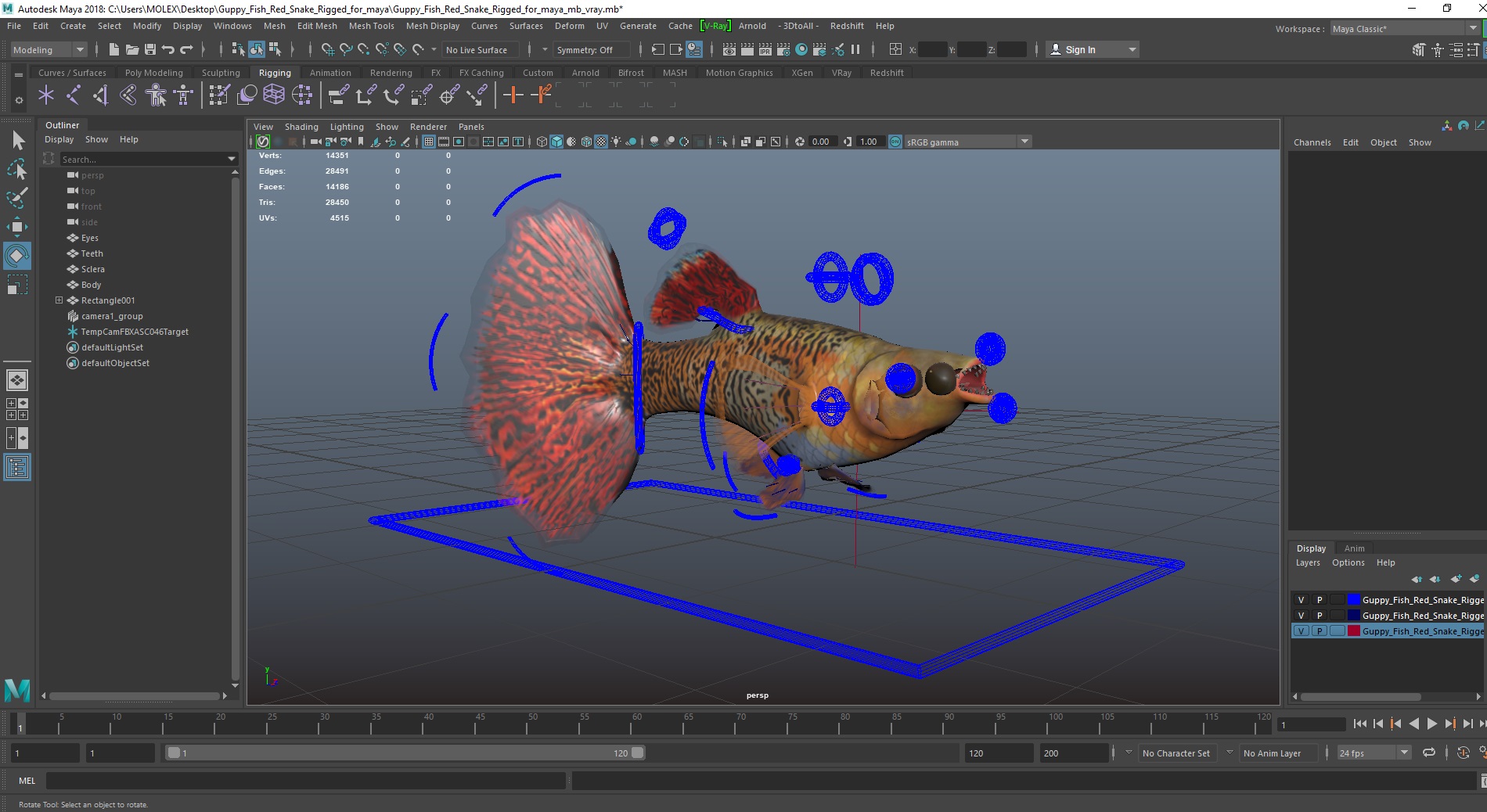 3D Guppy Fish Red Snake Rigged for Maya
