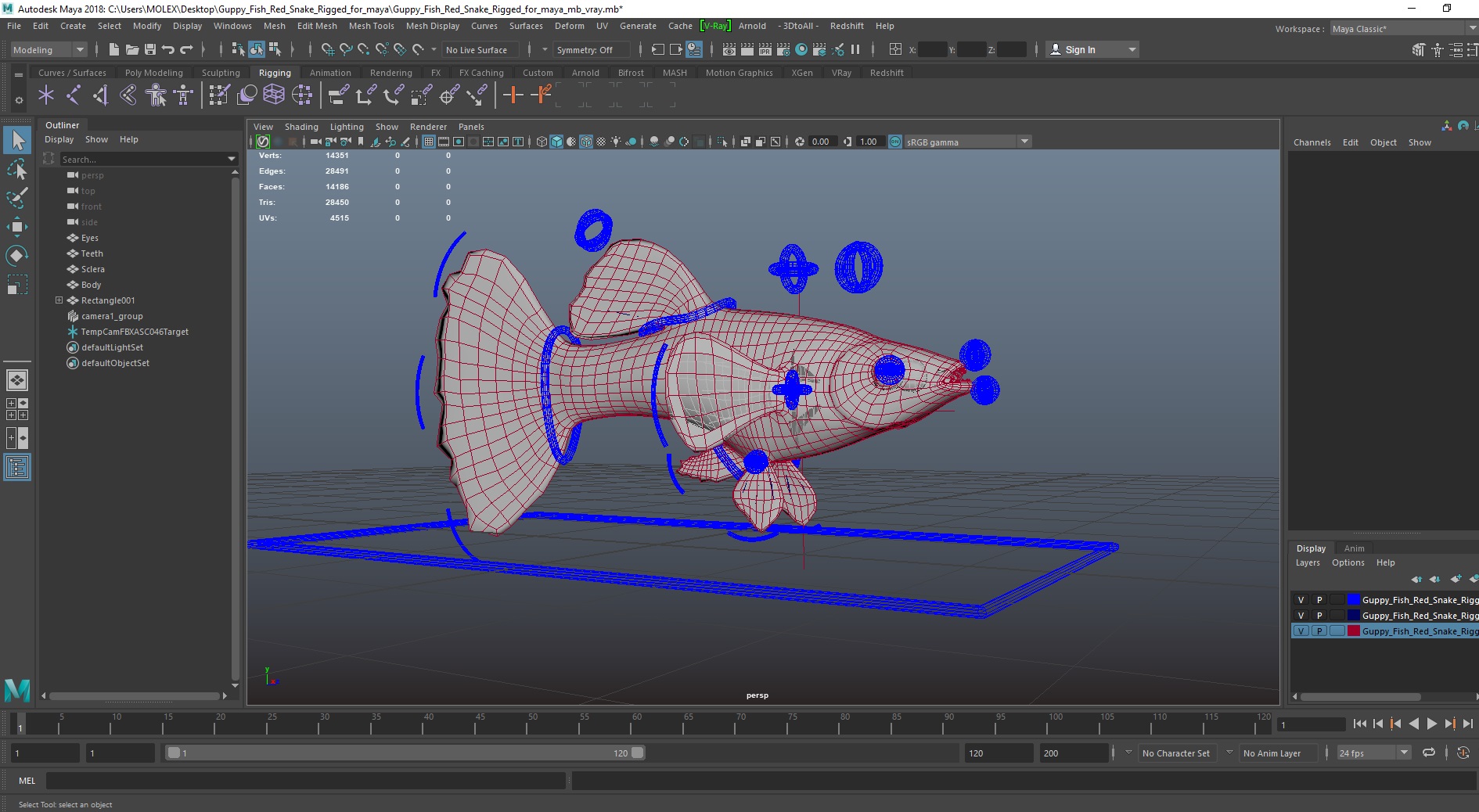 3D Guppy Fish Red Snake Rigged for Maya
