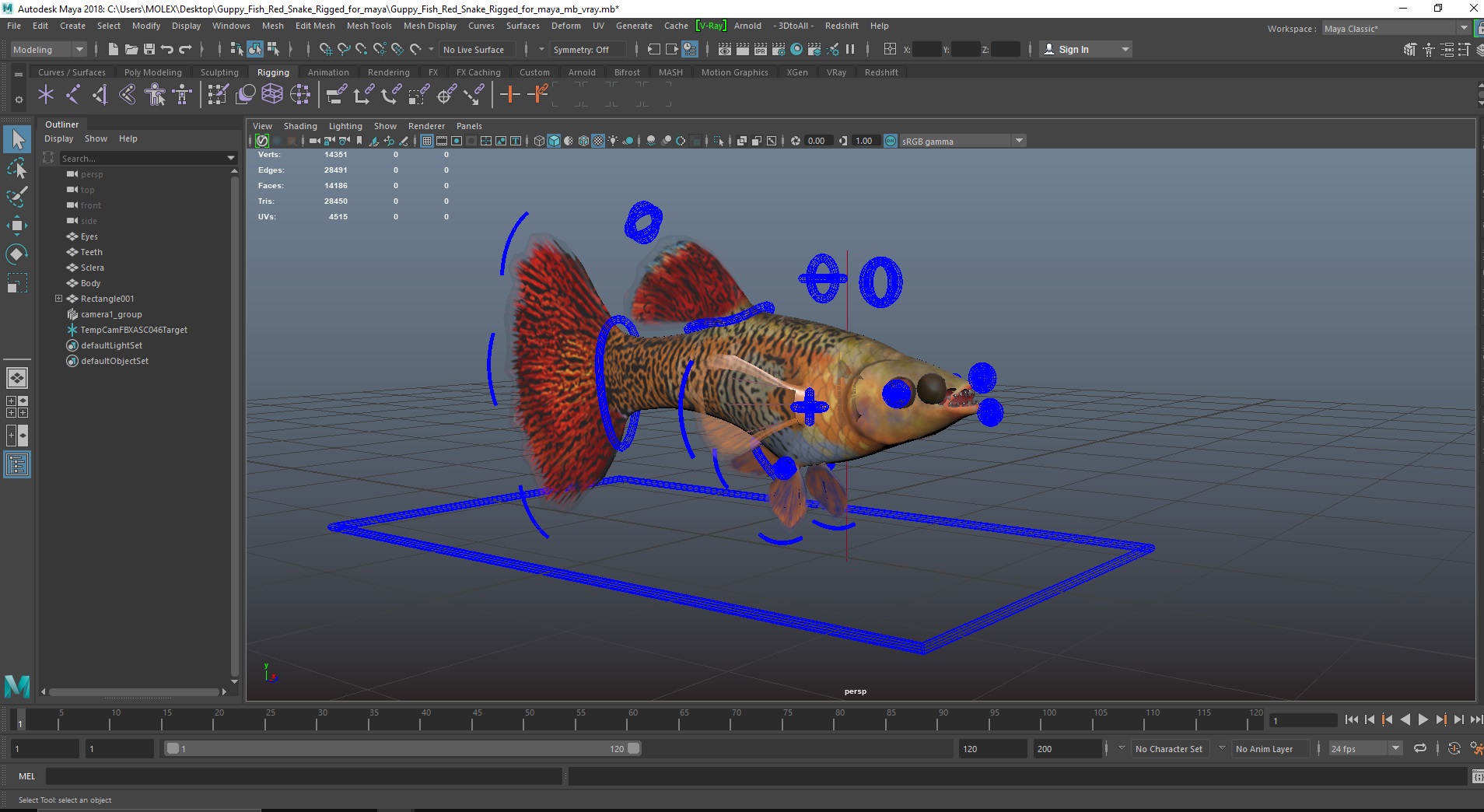 3D Guppy Fish Red Snake Rigged for Maya