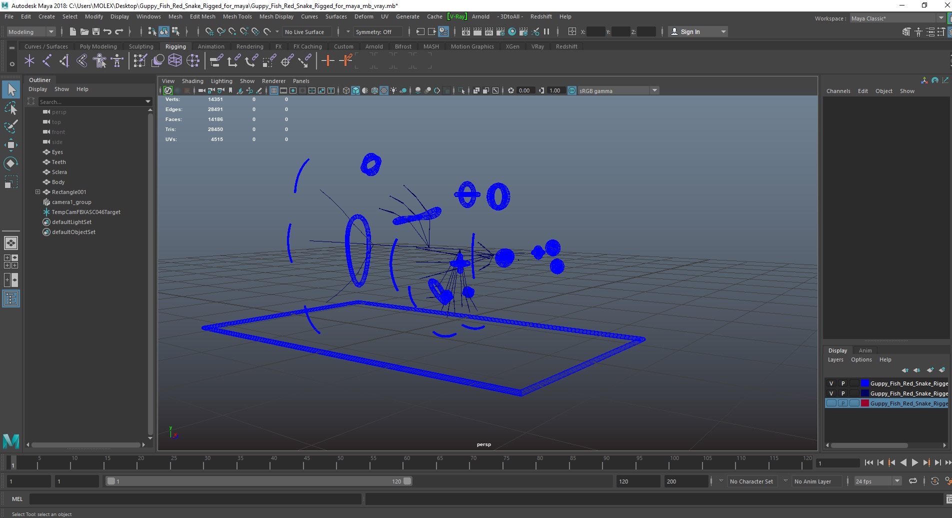 3D Guppy Fish Red Snake Rigged for Maya
