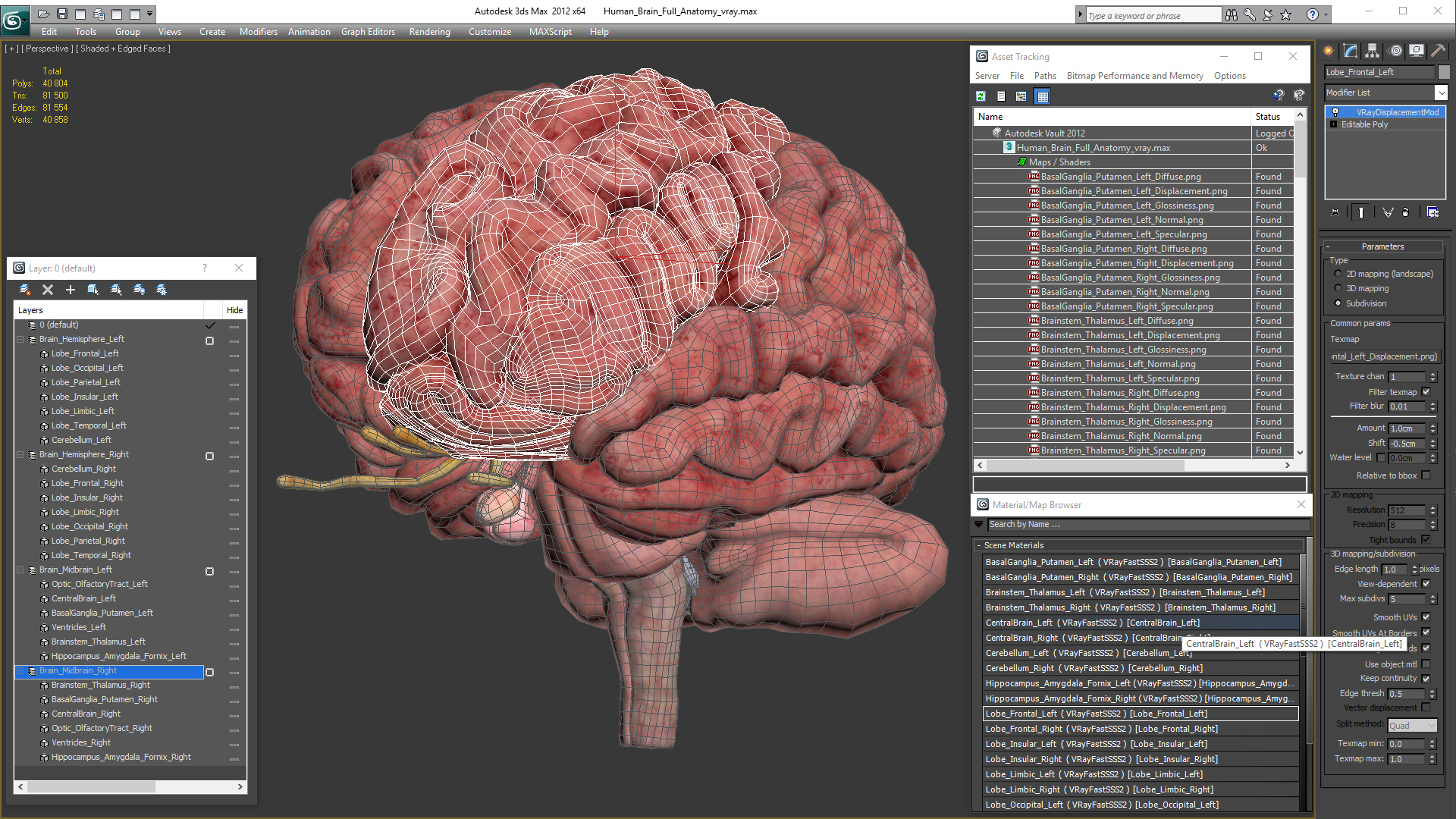 Human Brain Full Anatomy 3D model
